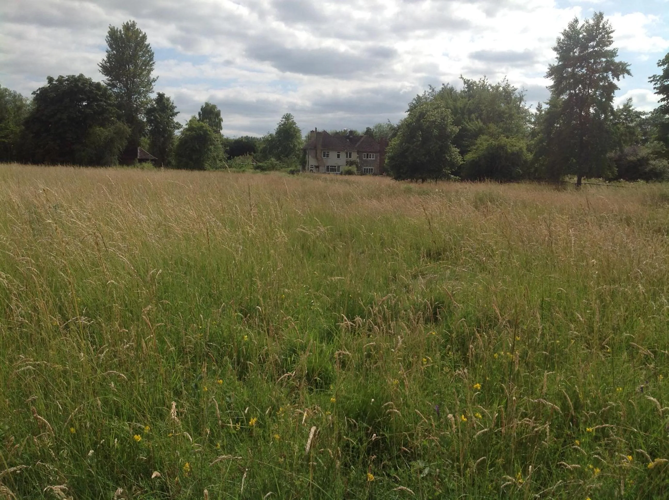 Natural landscape in The Mill House