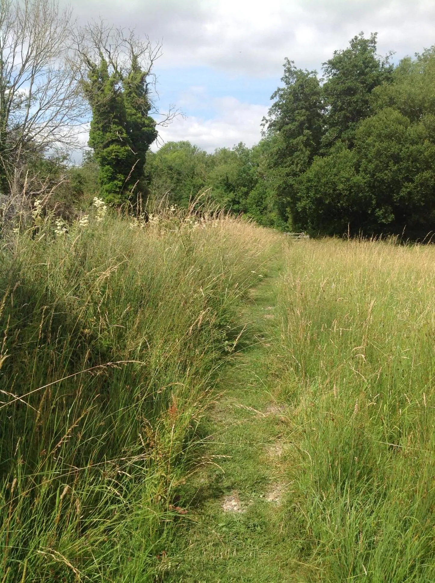 Natural landscape in The Mill House