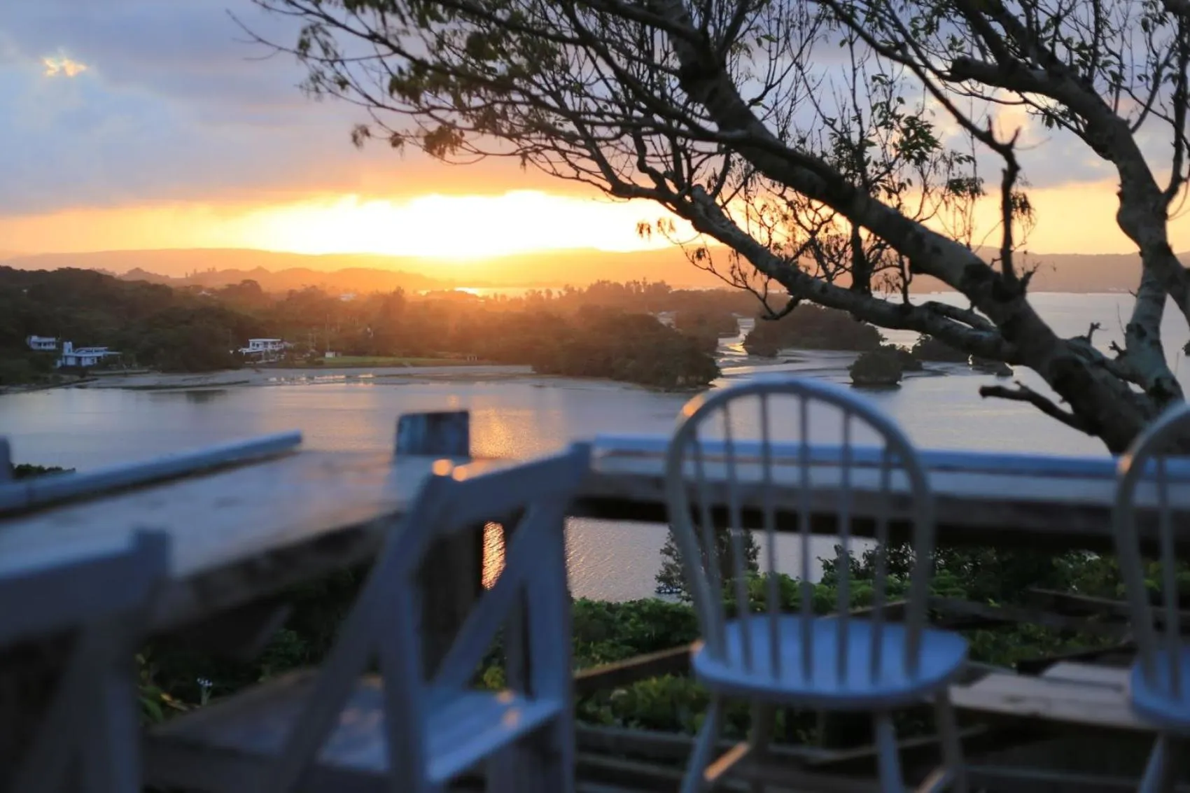 Garden in Tree-house Hotel Morinosubako