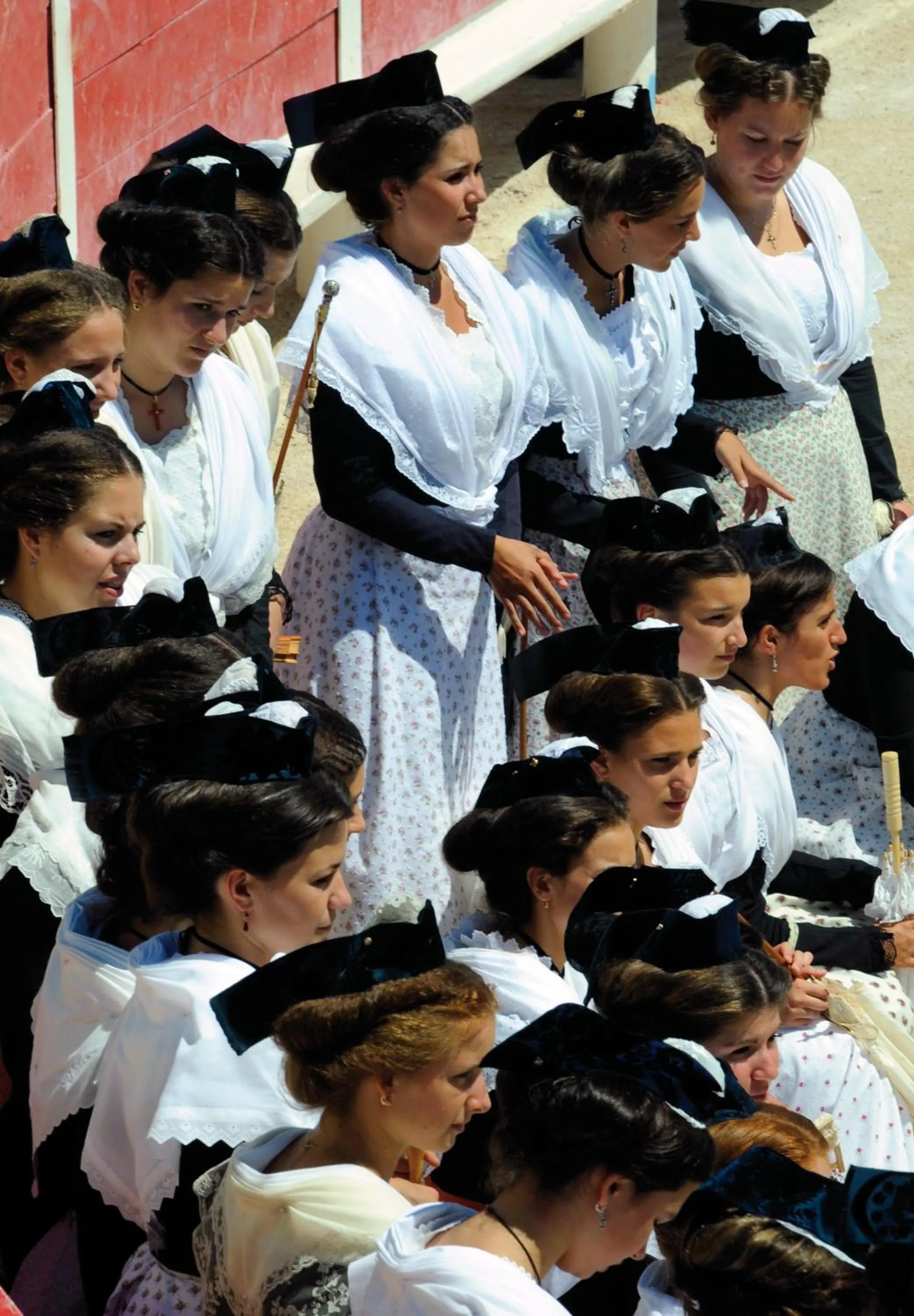 Area and facilities in Hôtel L' Estelle en Camargue
