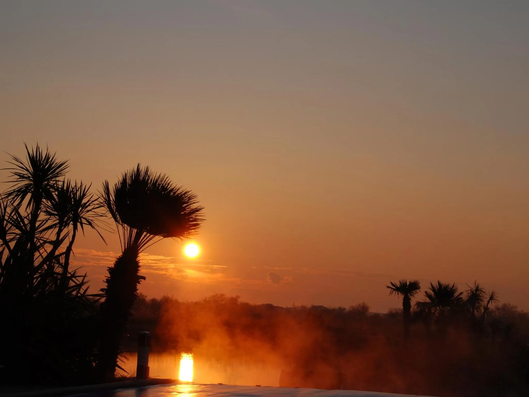 Swimming pool in Hôtel L' Estelle en Camargue