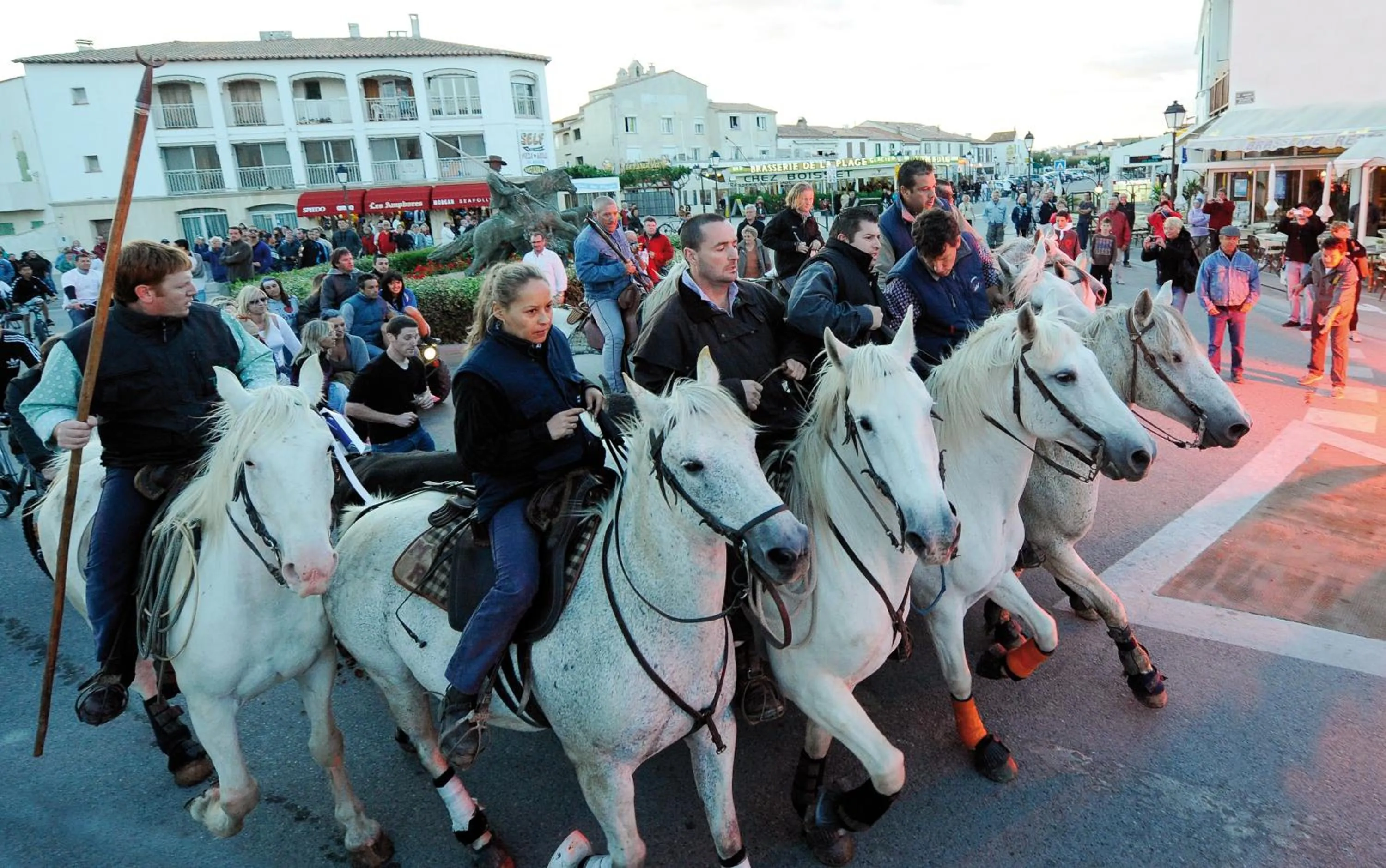 Area and facilities in Hôtel L' Estelle en Camargue