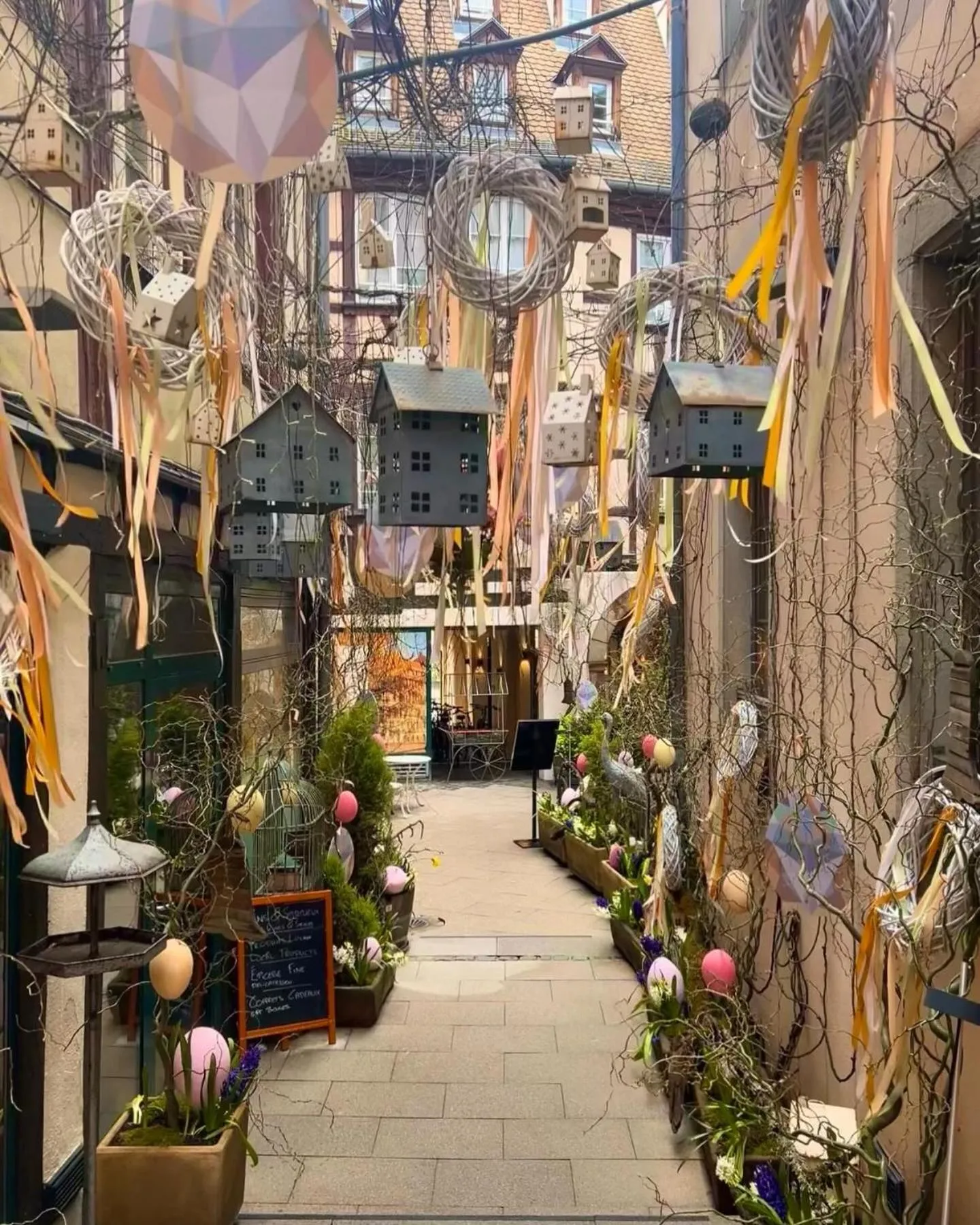 Garden view in Hotel Beaucour