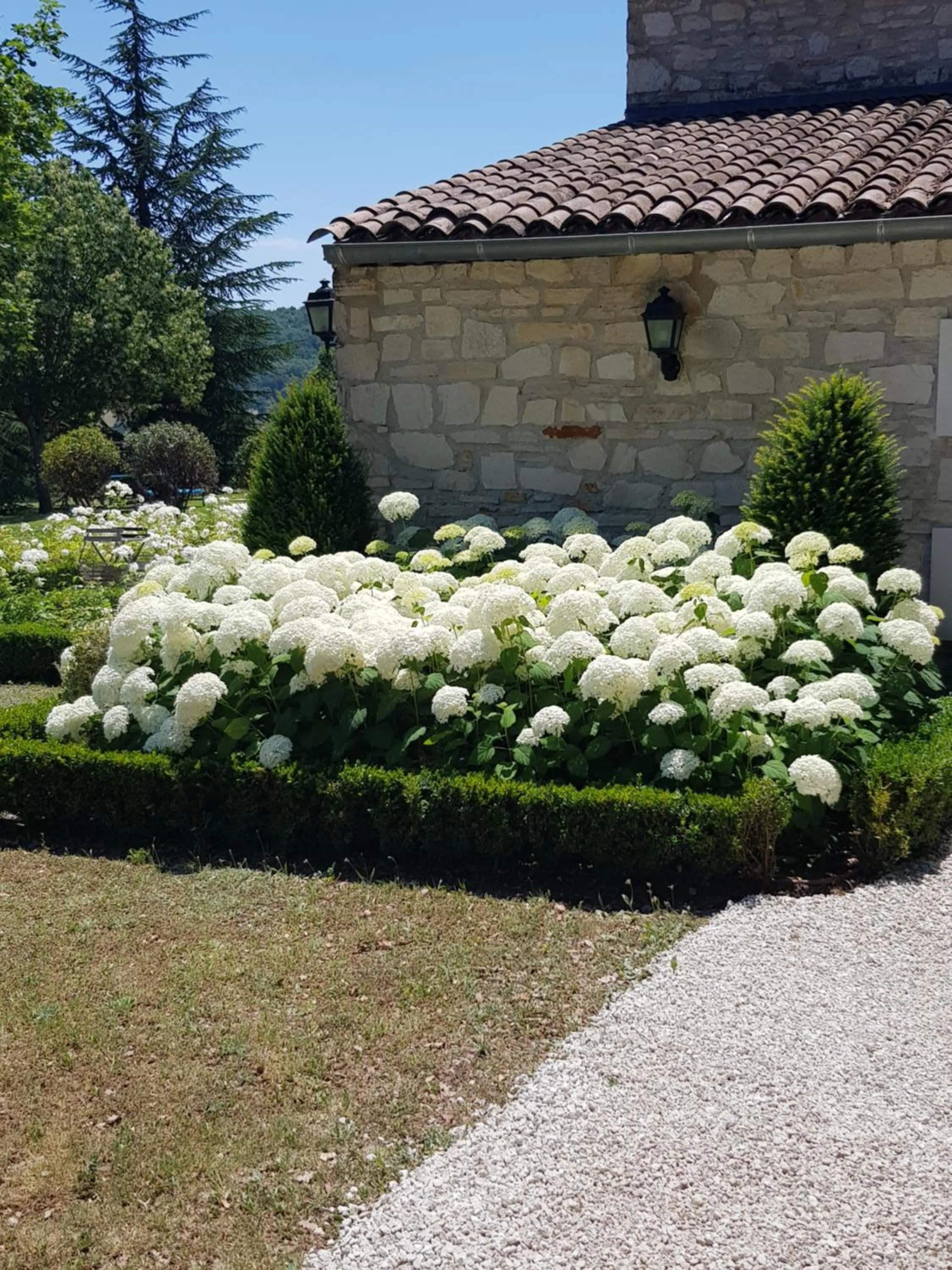 Les Néfliers chambre d'hôtes