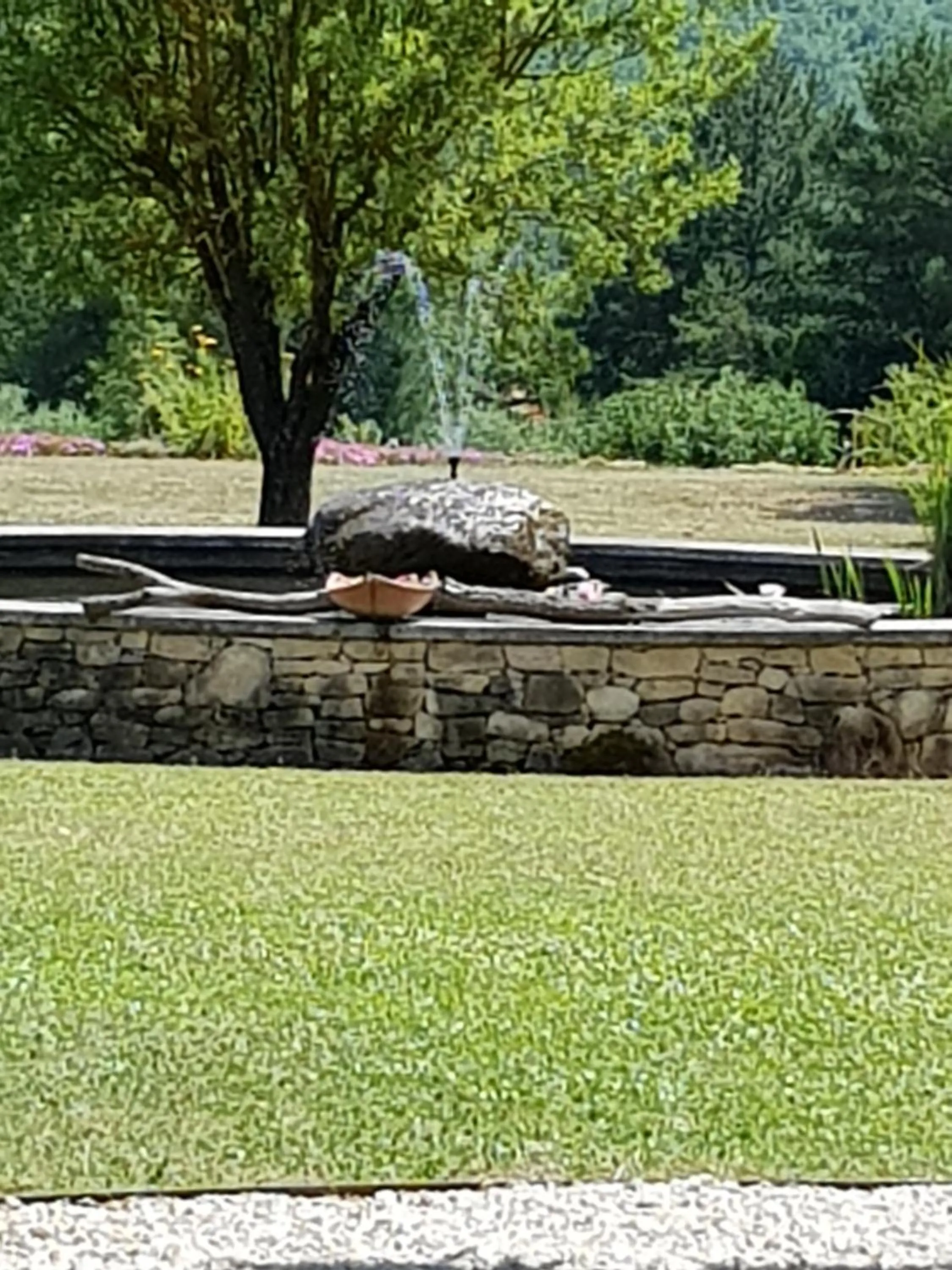 Garden view in Les Néfliers chambre d'hôtes