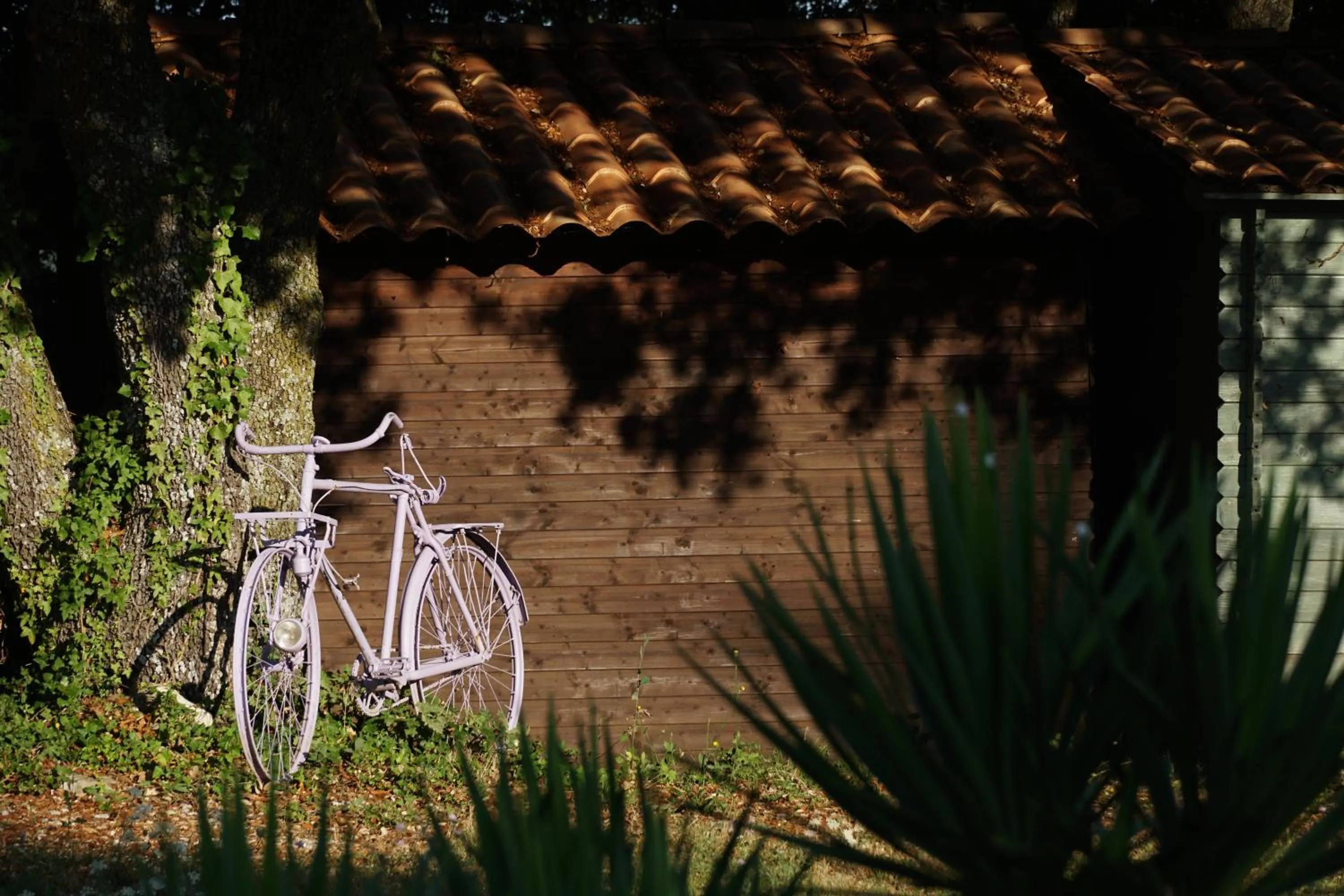 Les Néfliers chambre d'hôtes