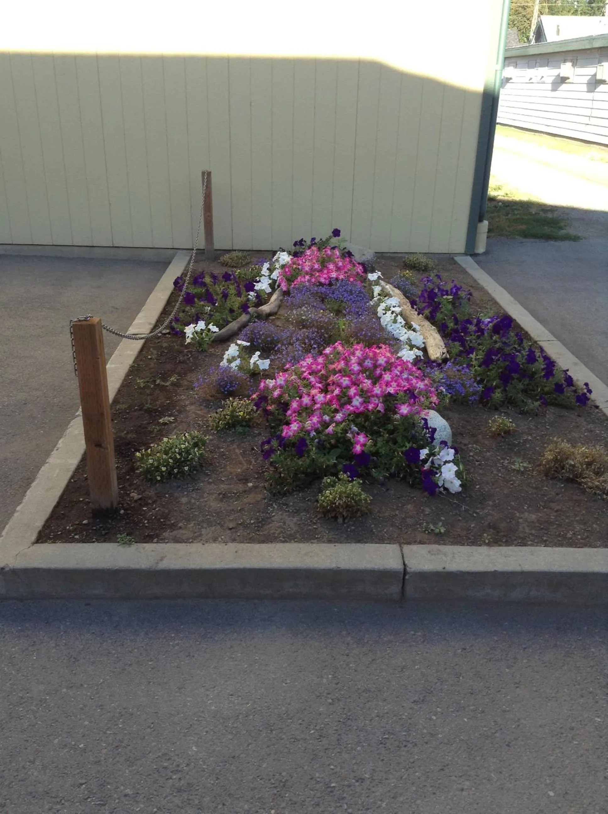 Garden in Coeur D' Alene Budget Saver Motel