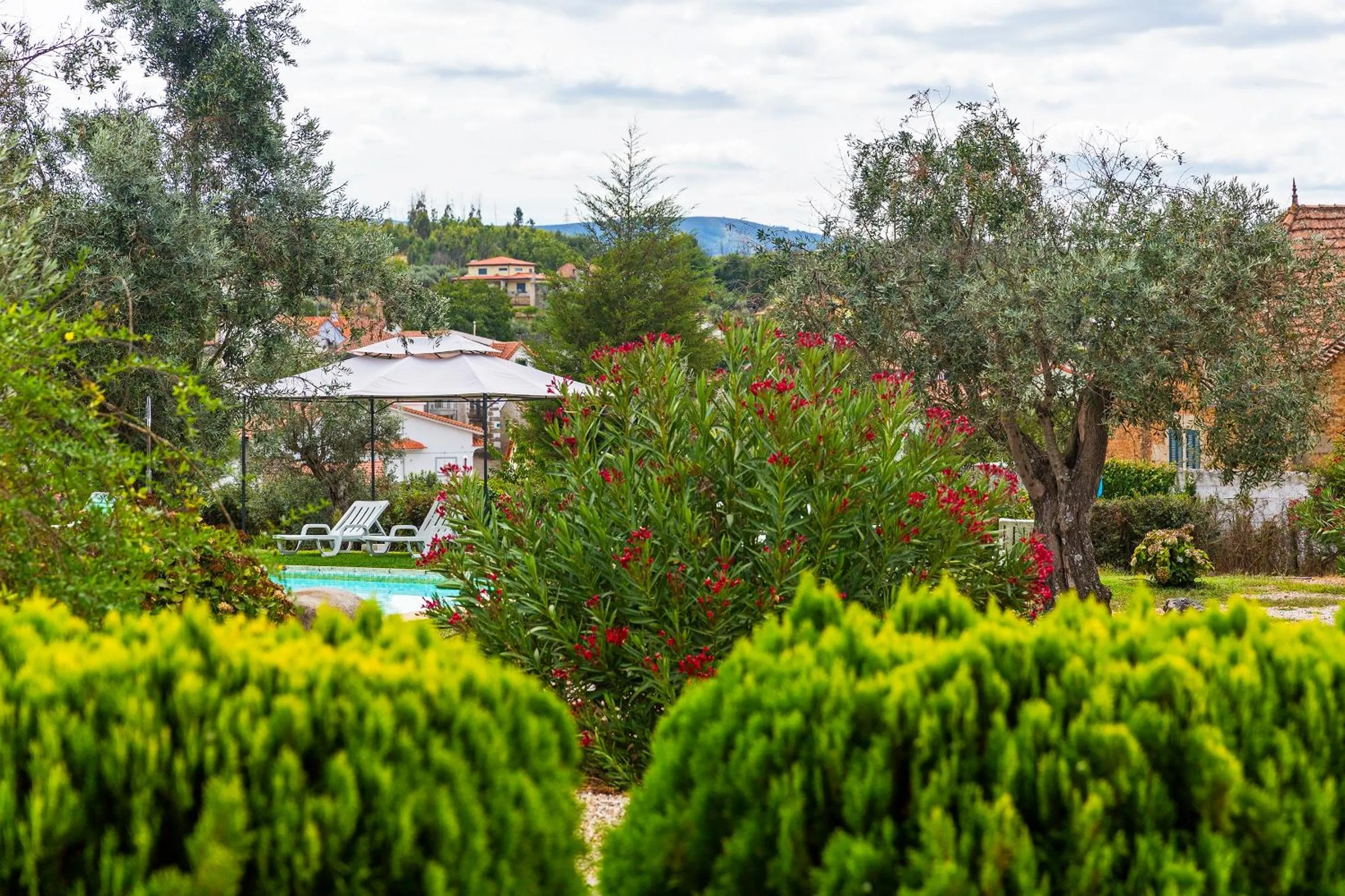 Quinta do Chão da Vinha