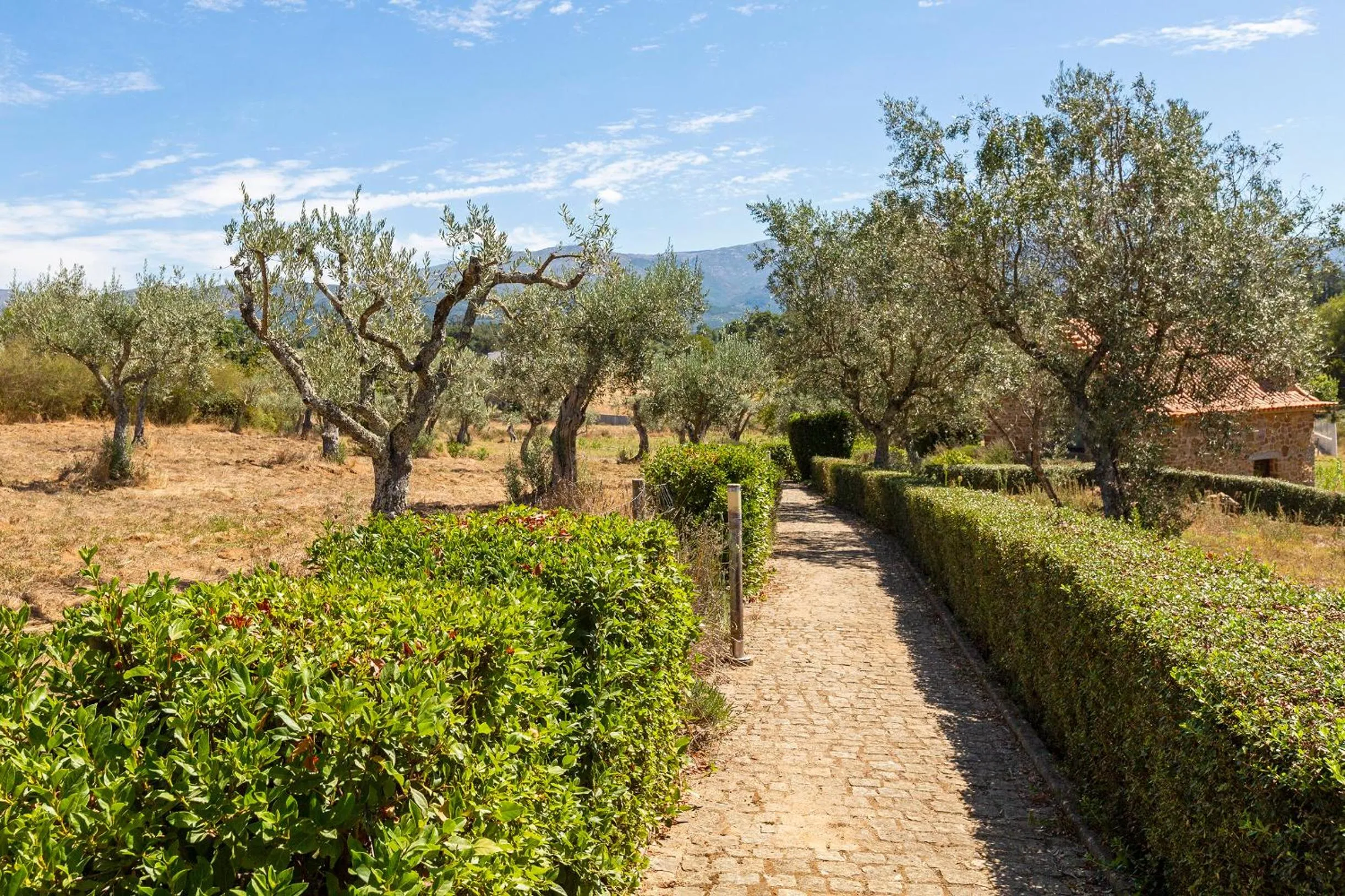 Quinta do Chão da Vinha