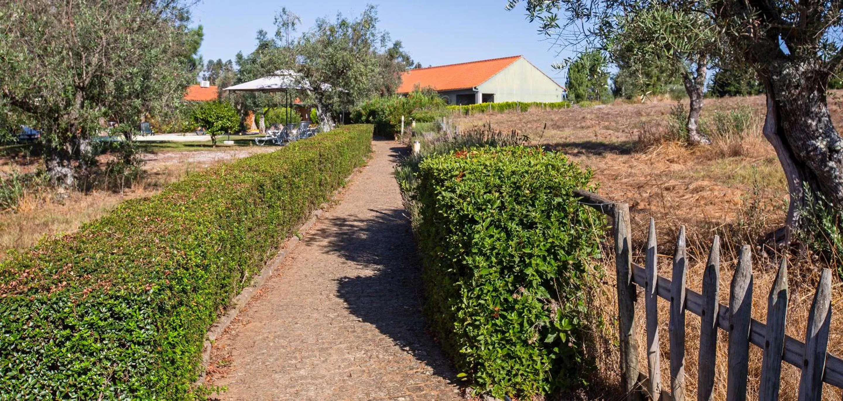 Quinta do Chão da Vinha