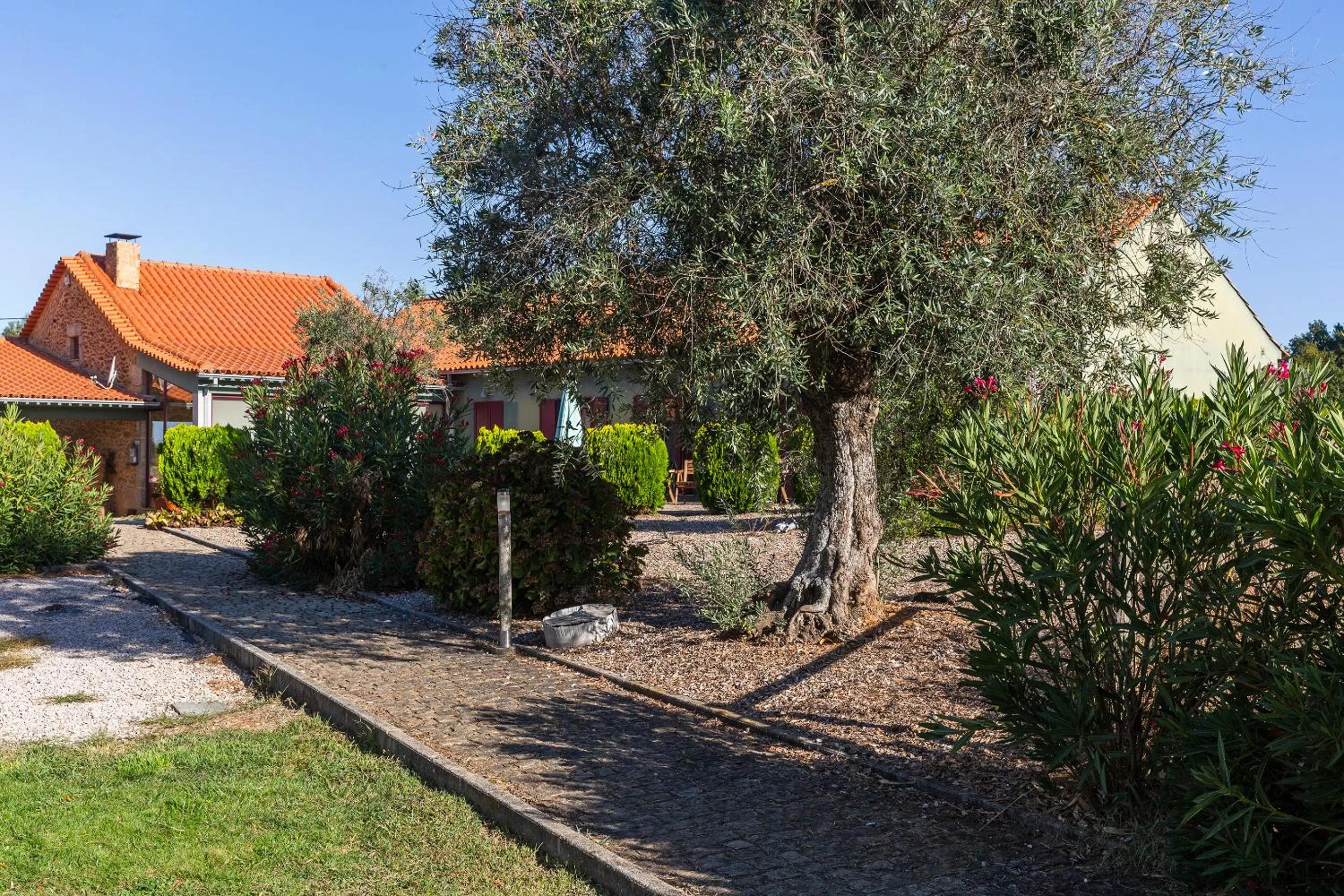 Quinta do Chão da Vinha