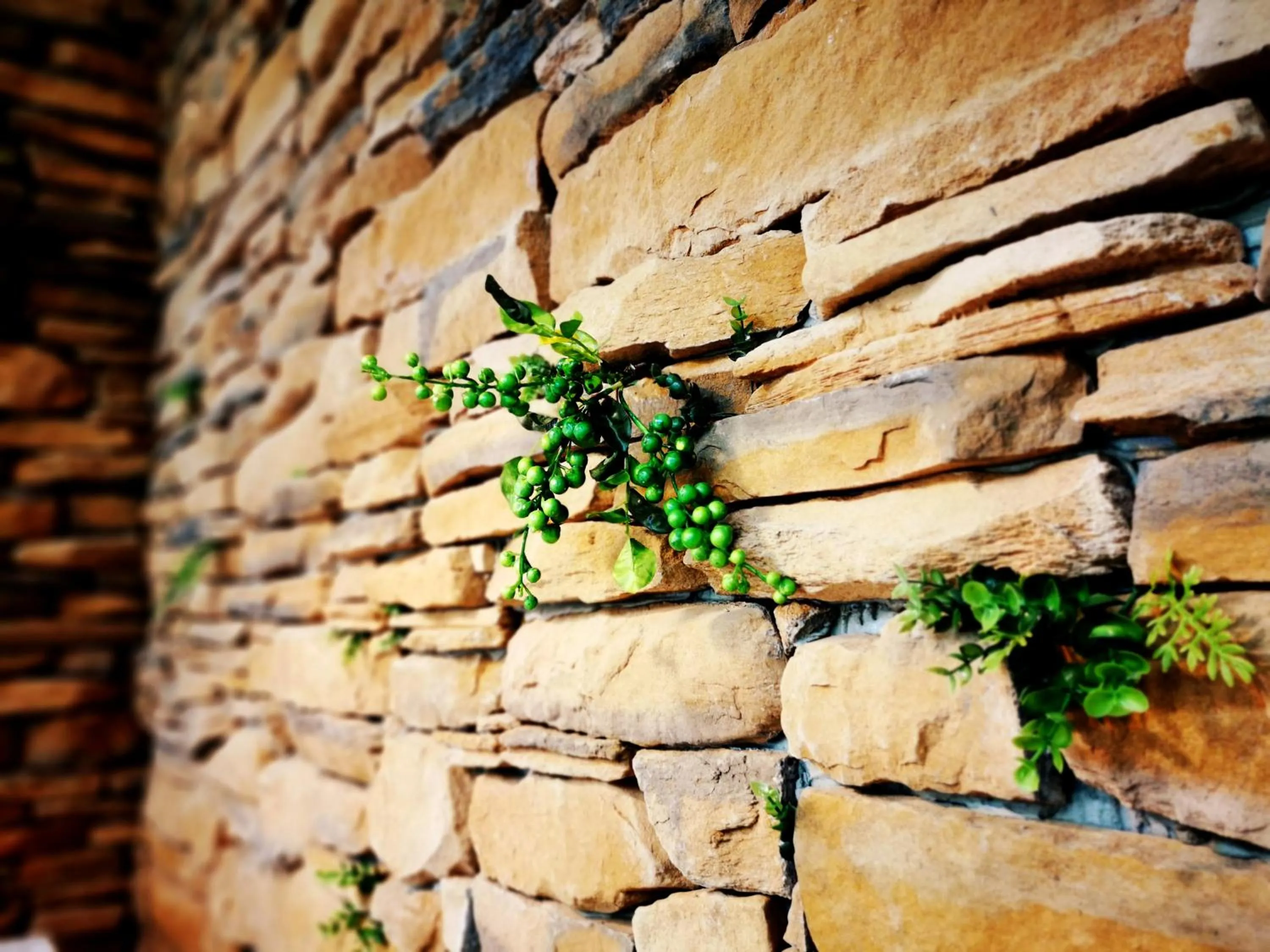 Decorative detail in Bluewater Hotel Xpark Gloria Outlets Taoyuan Baseball Stadium
