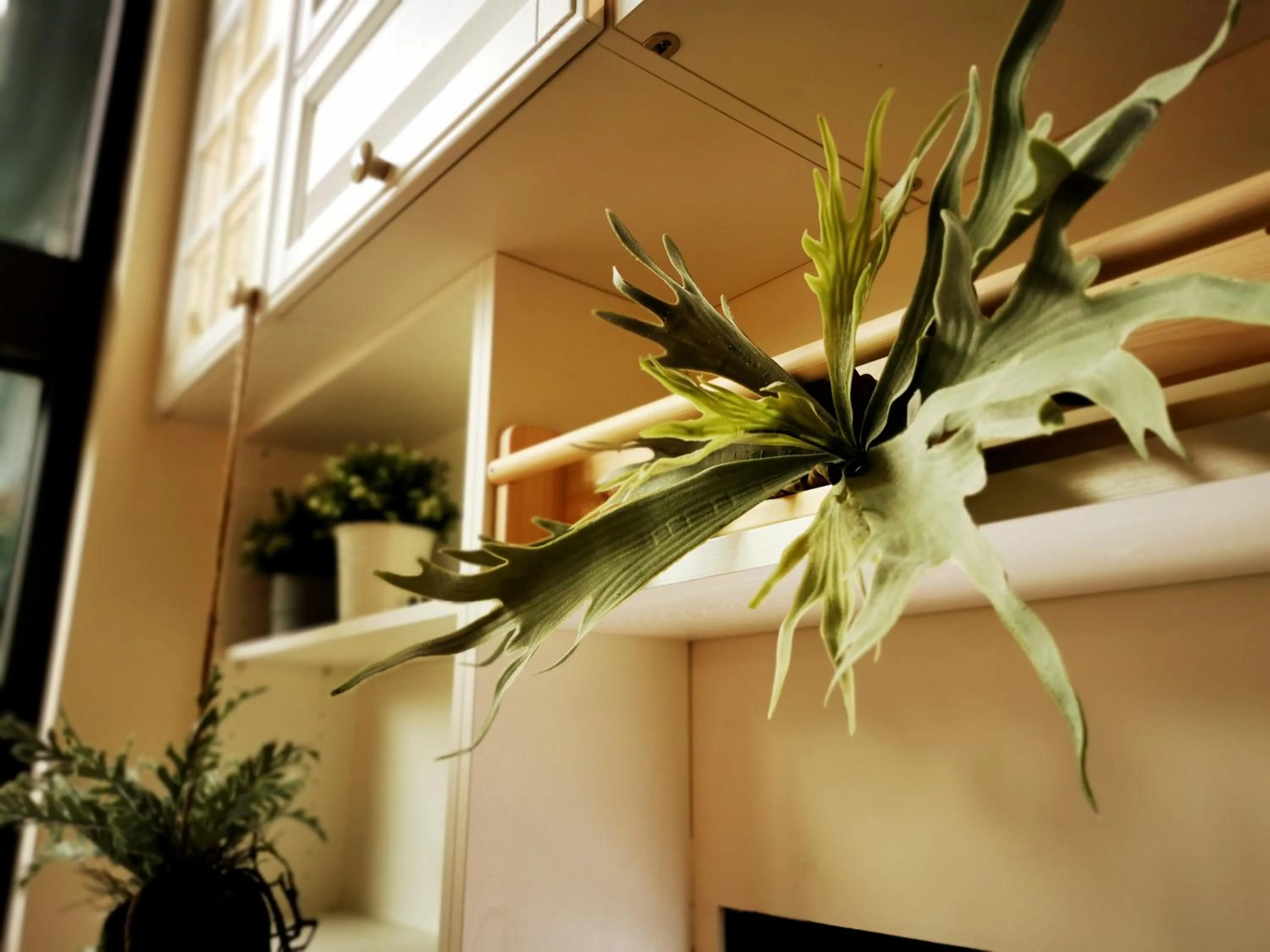 Decorative detail in Bluewater Hotel Xpark Gloria Outlets Taoyuan Baseball Stadium