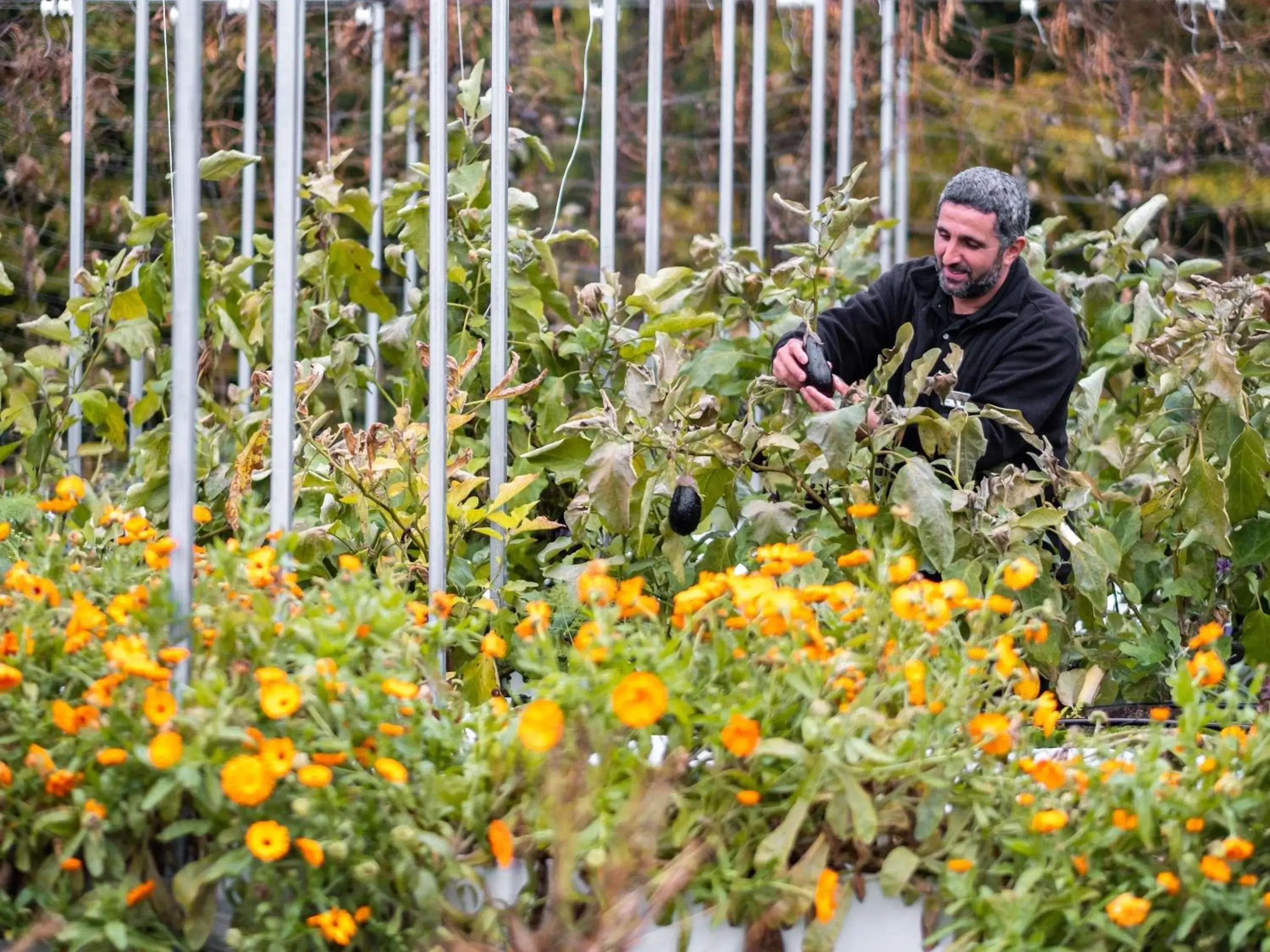 Restaurant/places to eat in Mercure Chantilly Resort & Conventions Restaurant/places to eat in Mercure Chantilly Resort & Conventions