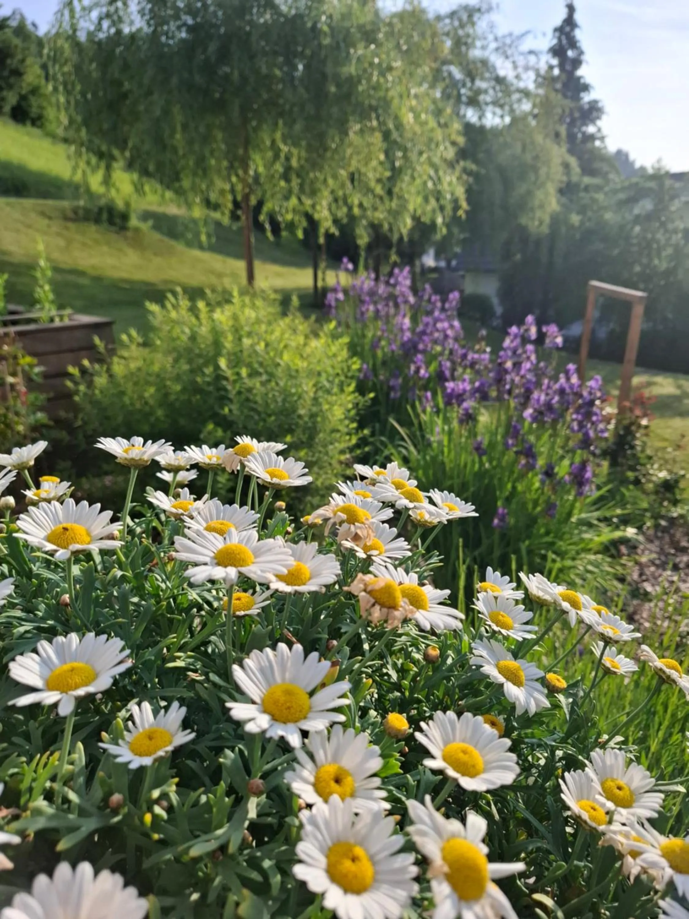 Property building in Hiša Poljana Rooms