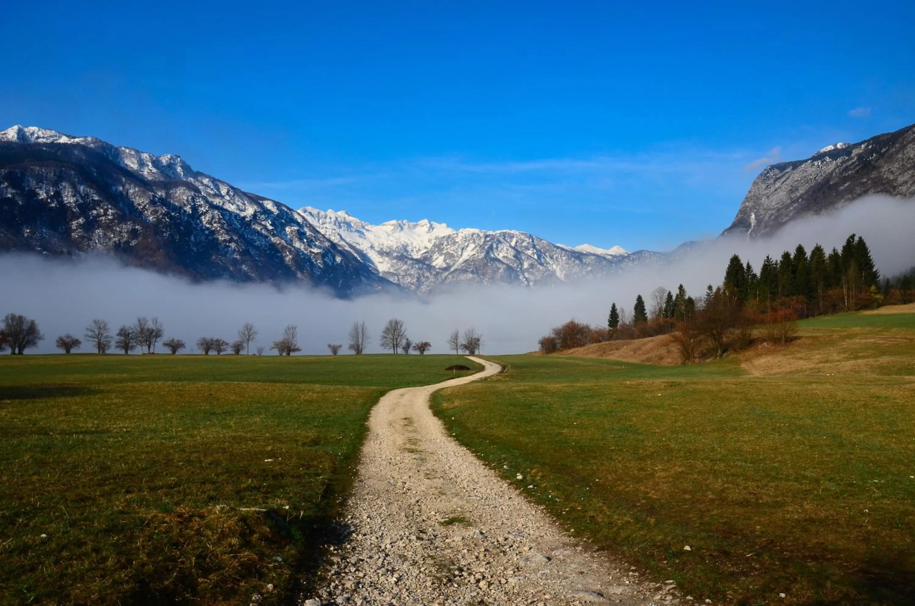 Natural landscape in Residence Novak Bohinj