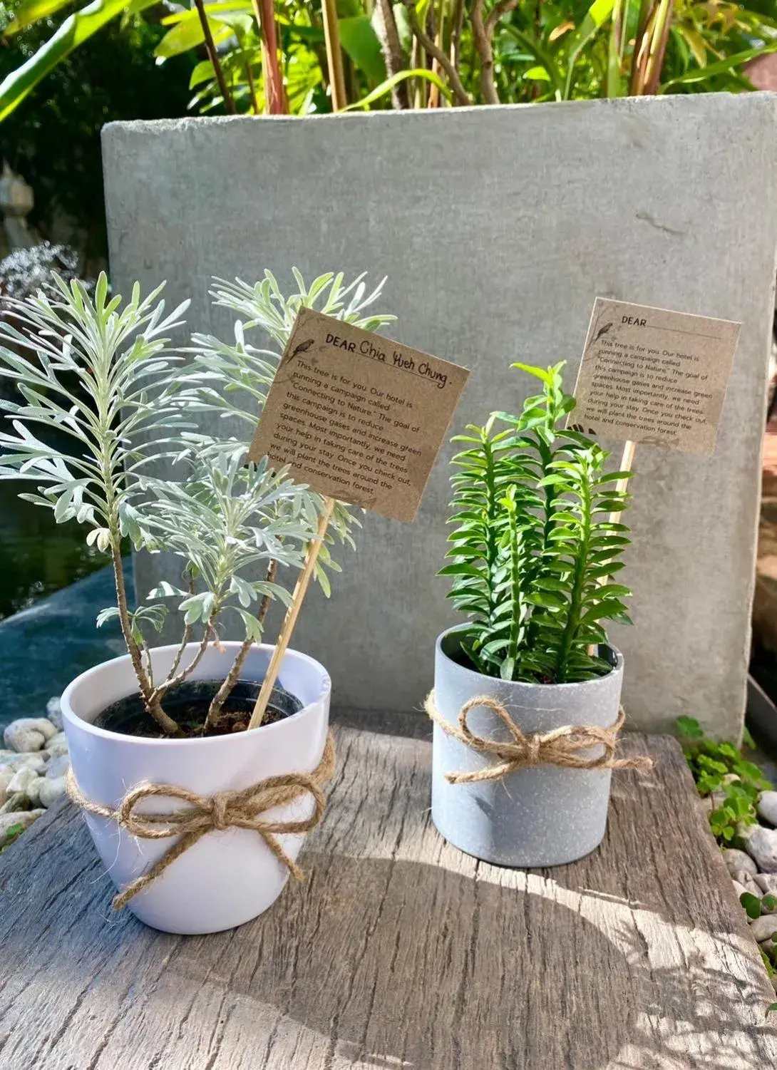 Property building in The Experience Walking Street Chiang Mai Property building in The Experience Walking Street Chiang Mai