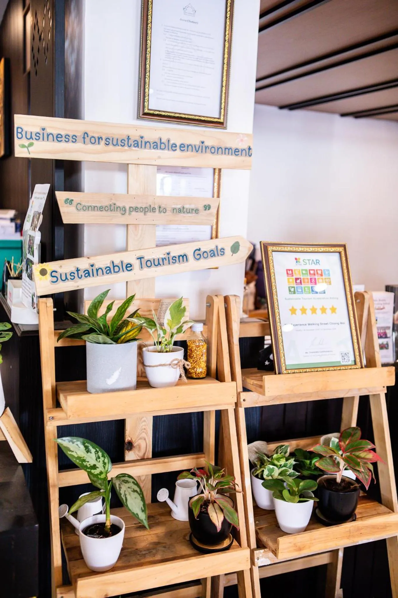 Activities in The Experience Walking Street Chiang Mai