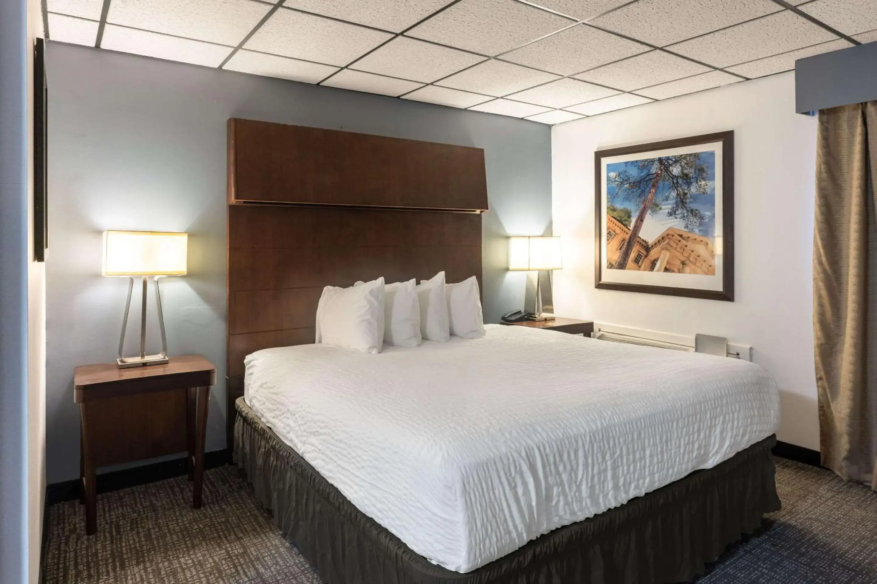 Bedroom, Bed in Quality Inn & Suites Bedroom, Bed in Quality Inn & Suites