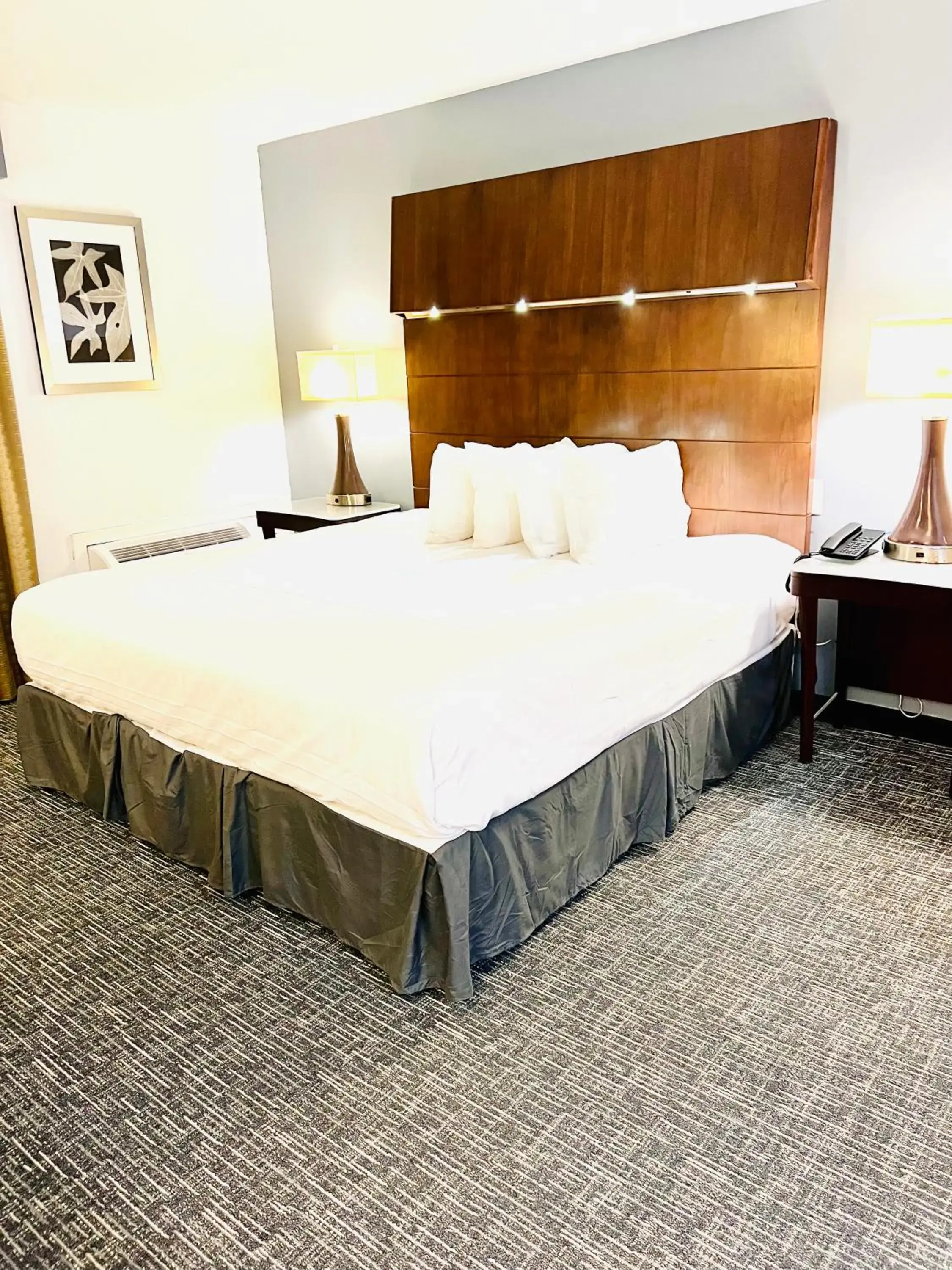 One Bedroom King Suite - Non Smoking in Quality Inn & Suites Caribou One Bedroom King Suite - Non Smoking in Quality Inn & Suites Caribou