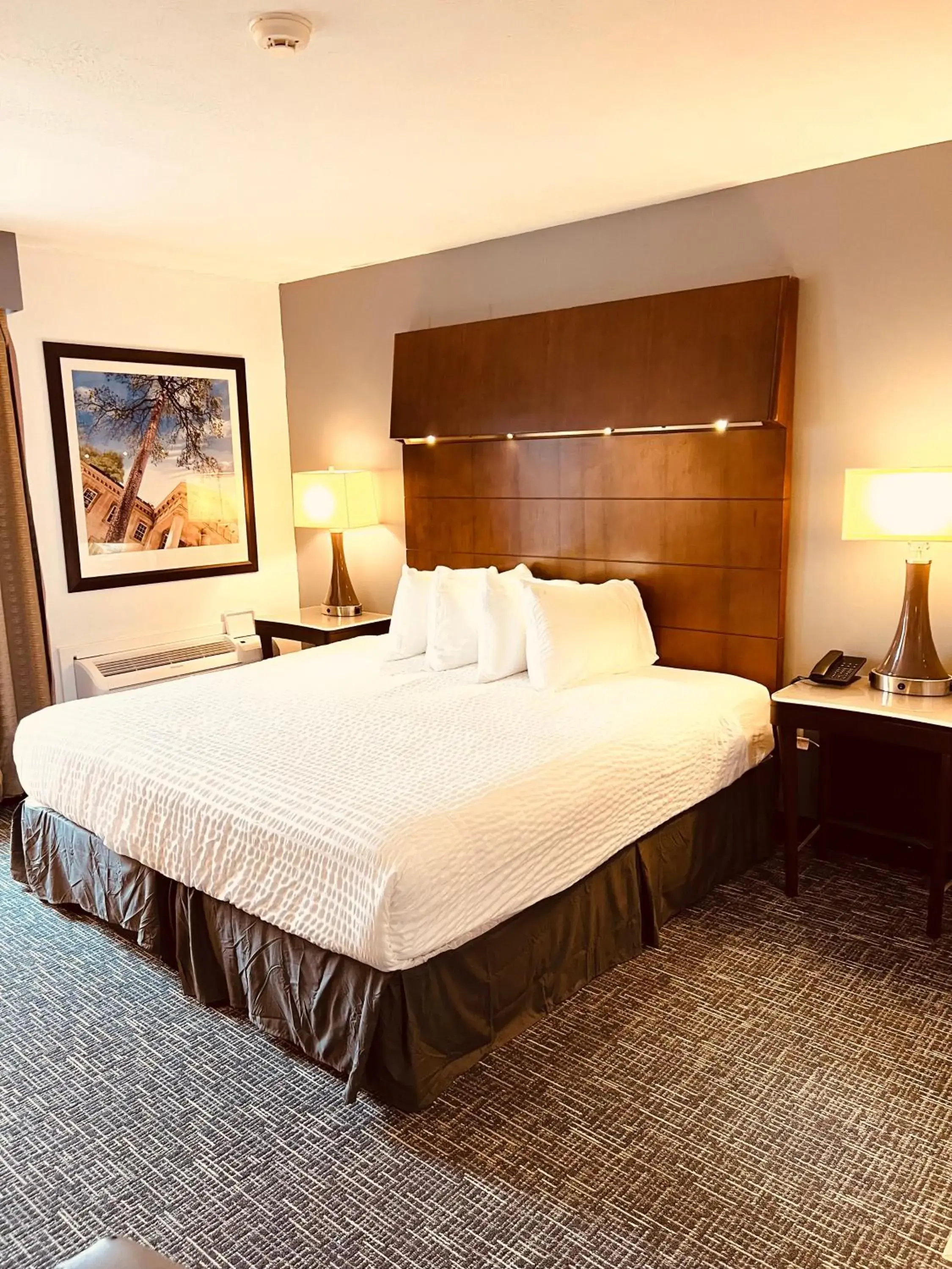 King Room - Non Smoking in Quality Inn & Suites Caribou King Room - Non Smoking in Quality Inn & Suites Caribou