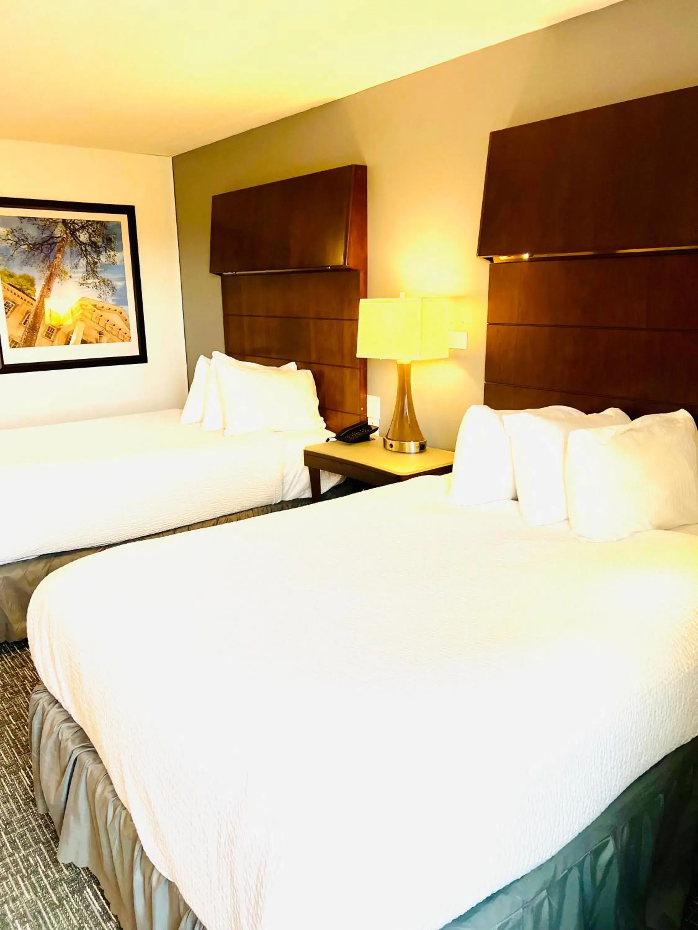 Quadruple Room with Two Queen Beds - Non Smoking in Quality Inn & Suites Caribou Quadruple Room with Two Queen Beds - Non Smoking in Quality Inn & Suites Caribou