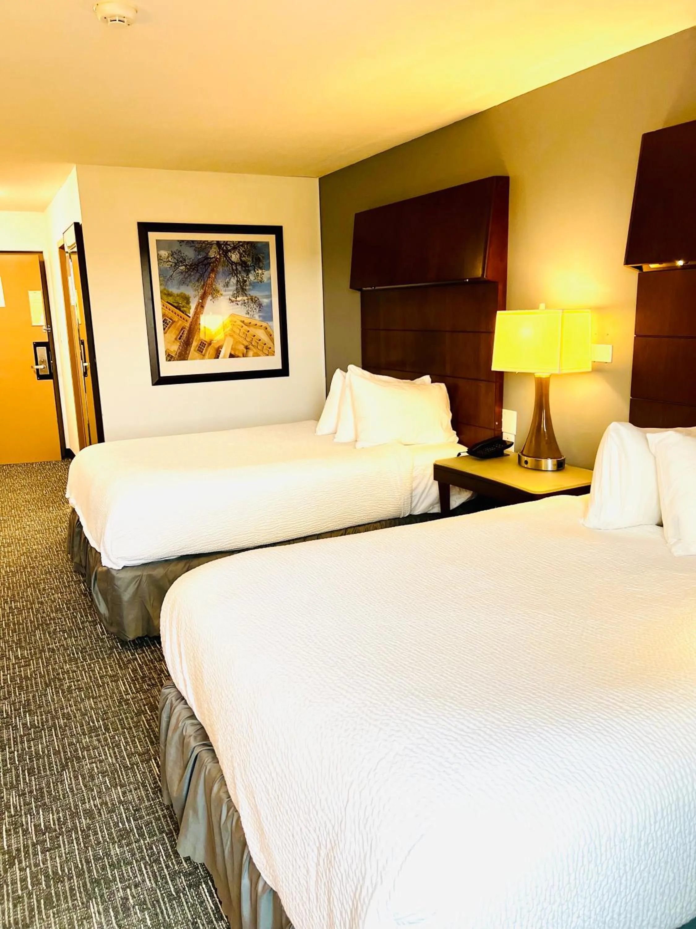 Bed in Quality Inn & Suites Caribou