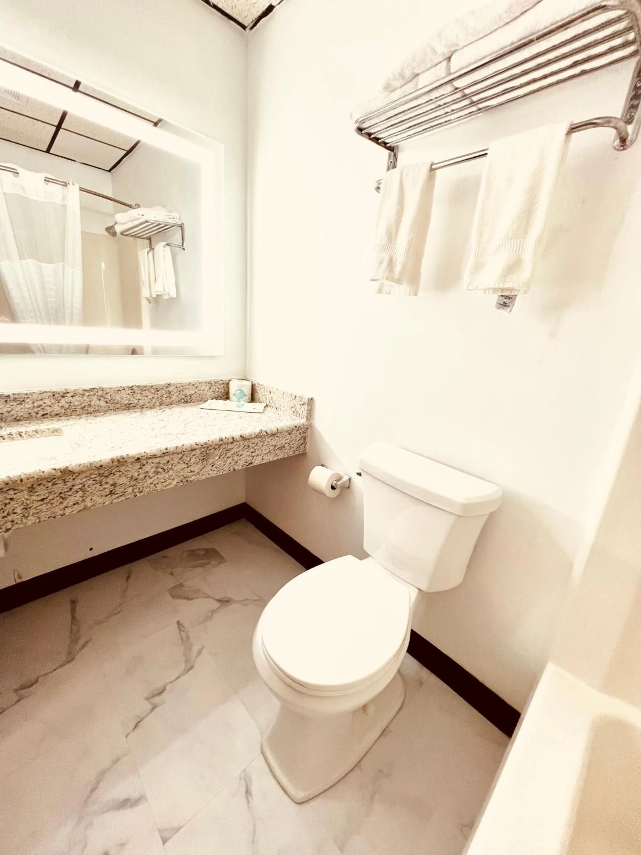 Toilet in Quality Inn & Suites Caribou