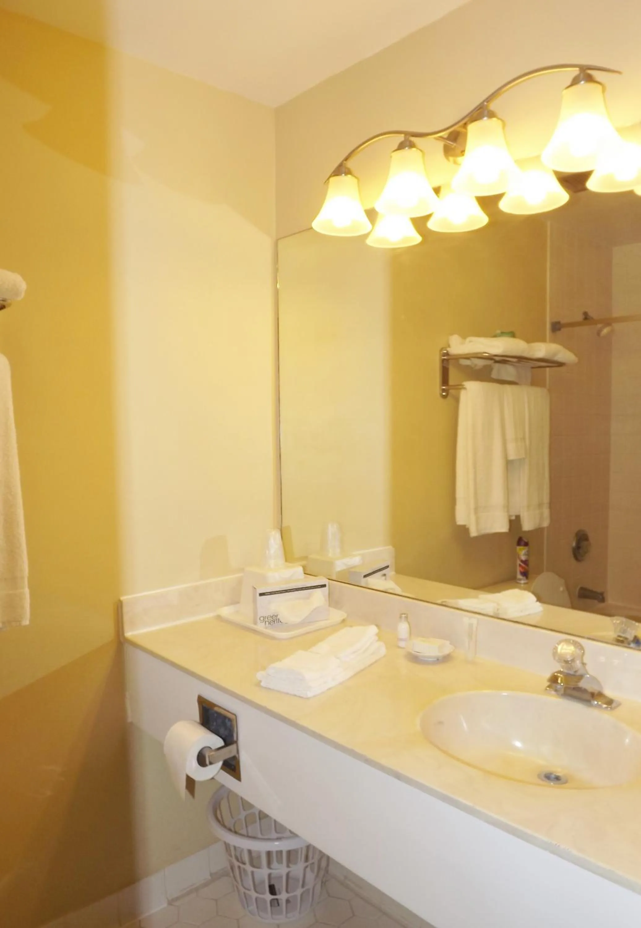 Bathroom in River Edge Inn