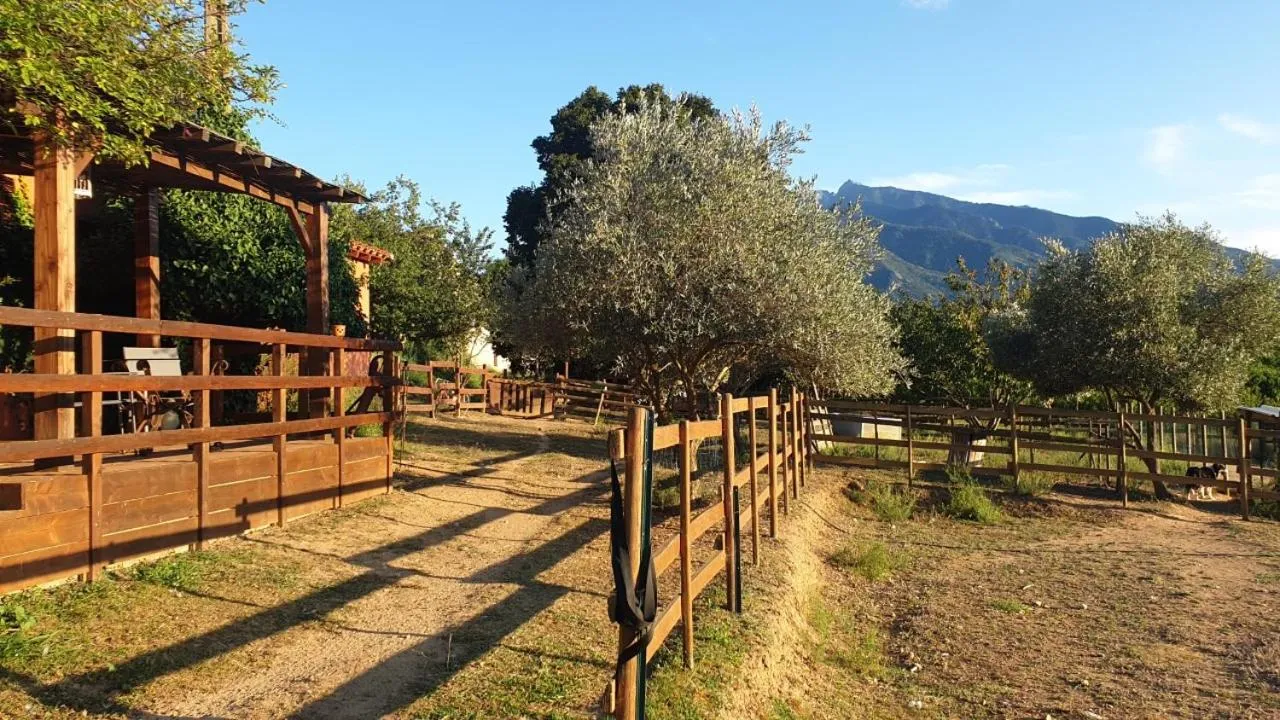 Natural landscape in Chambre d'hôtes Le Petit Ranch