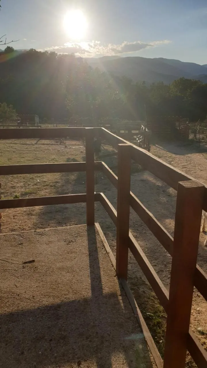 Balcony/Terrace in Chambre d'hôtes Le Petit Ranch