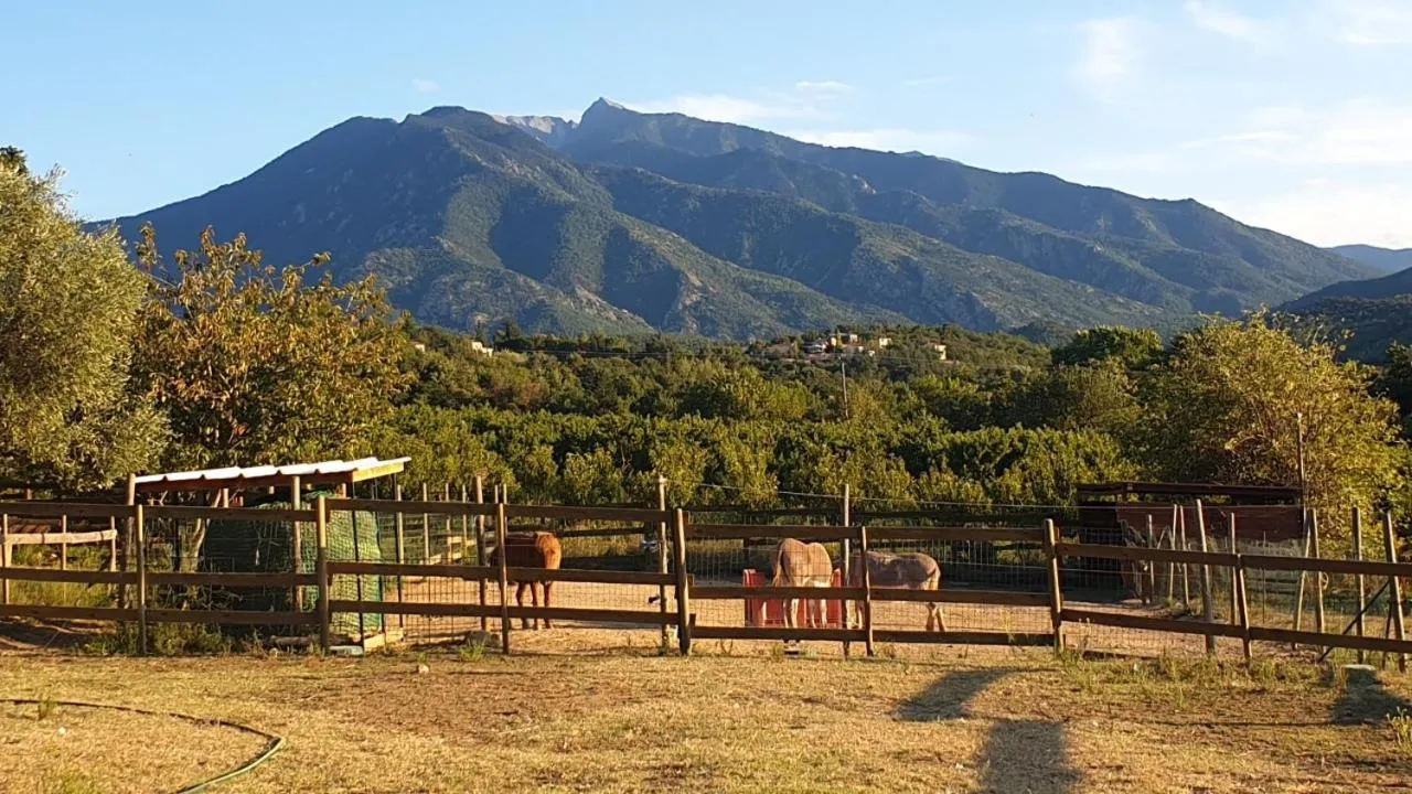 Natural landscape in Chambre d'hôtes Le Petit Ranch