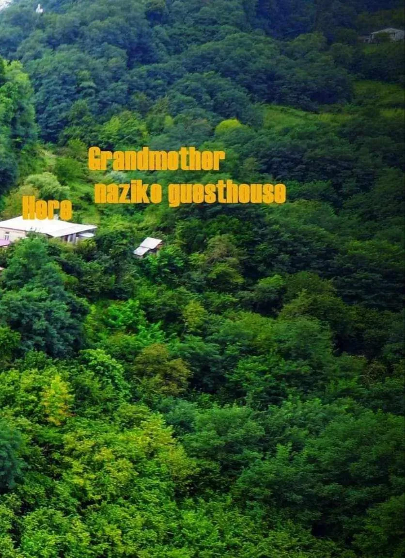 Deluxe Double or Twin Room in Grandmother Naziko
