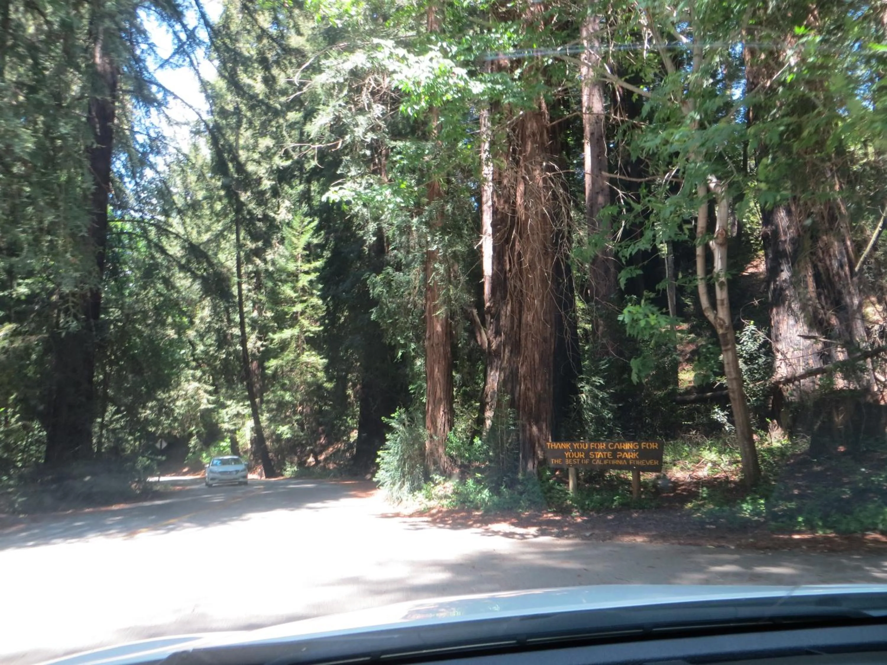 Natural landscape in Big Sur Lodge