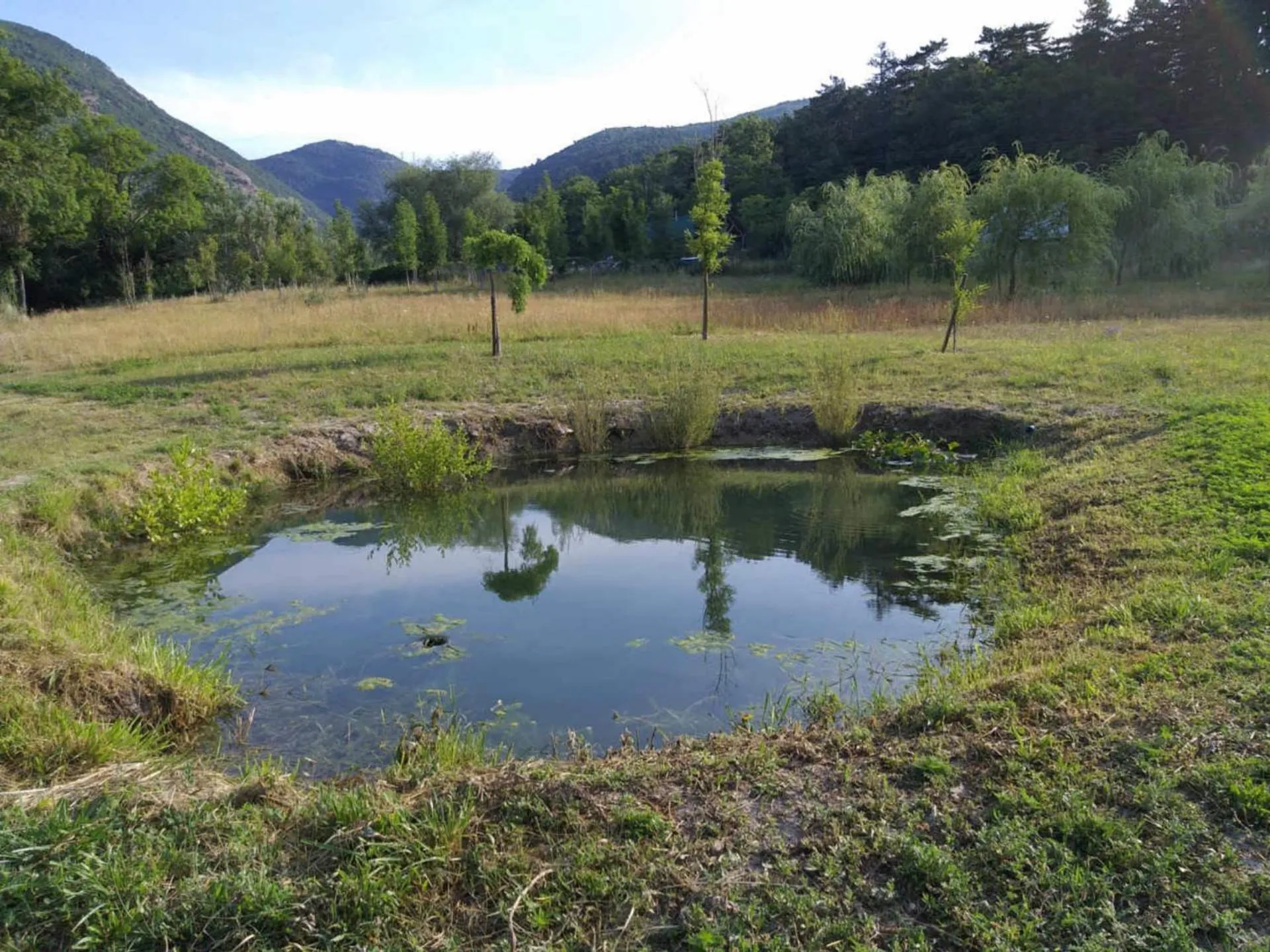 Natural landscape in Les Chalets de Saint Maurice (Dieulefit)