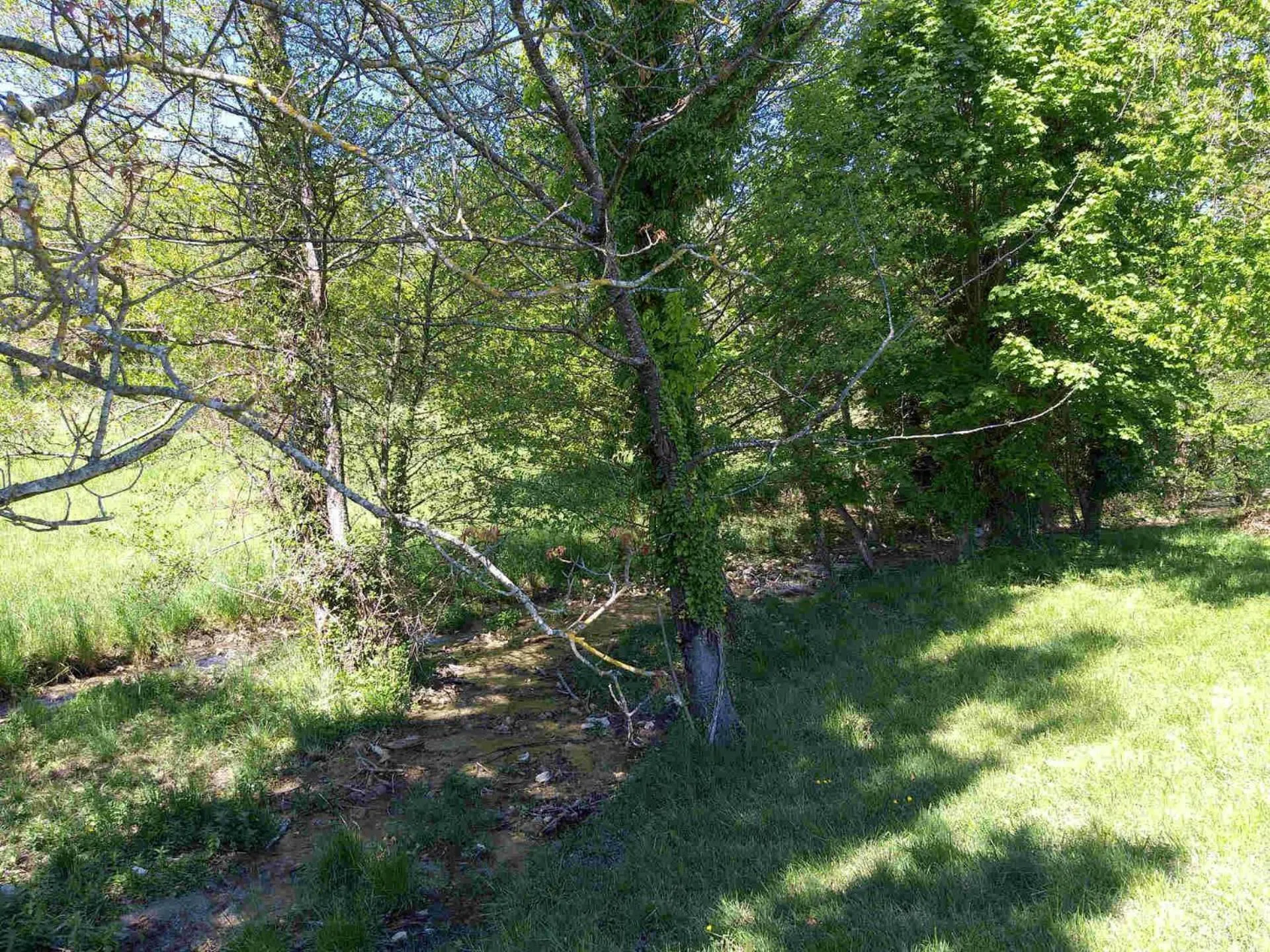 Natural landscape in Les Chalets de Saint Maurice (Dieulefit)