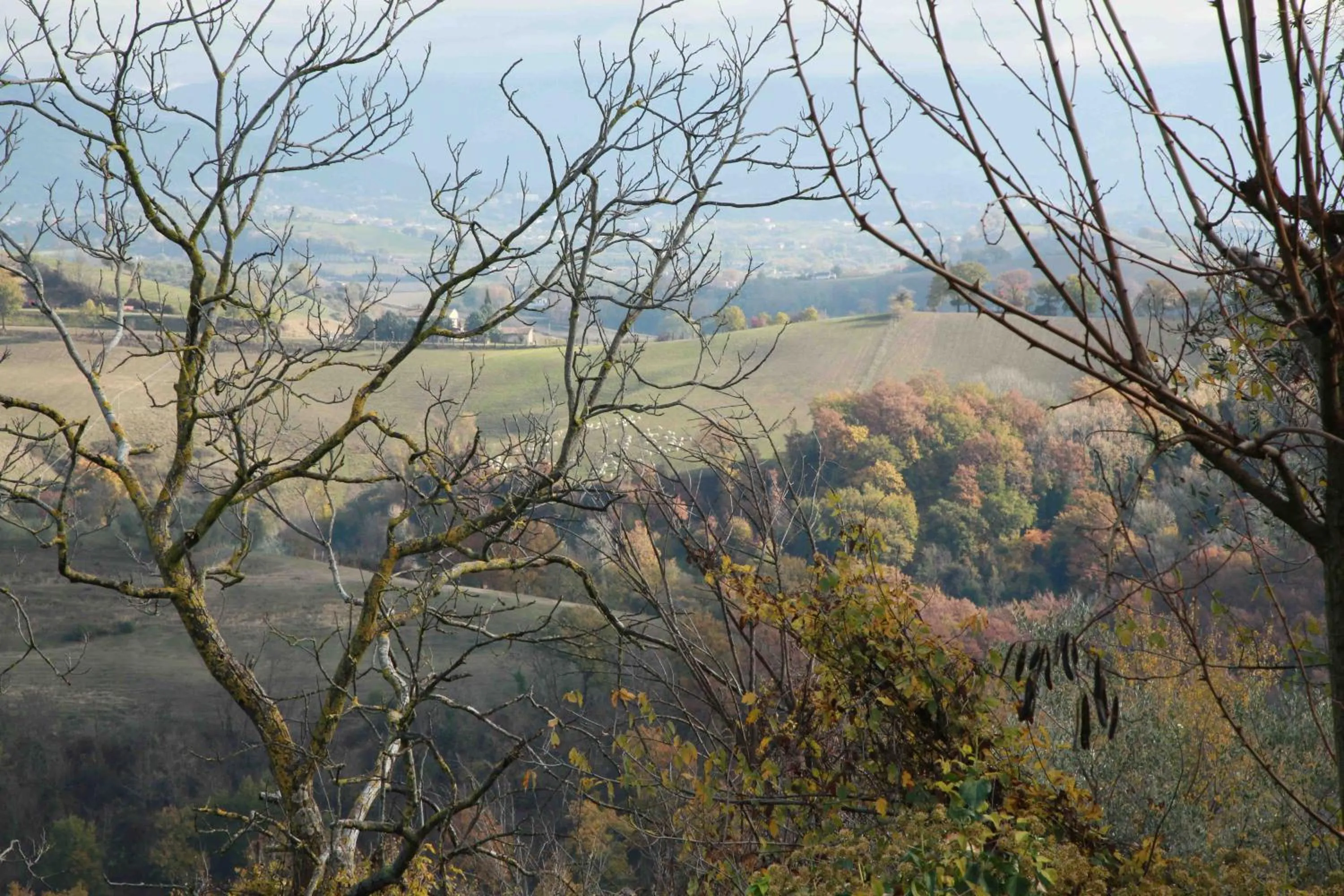 Natural landscape in Corte Buenavista