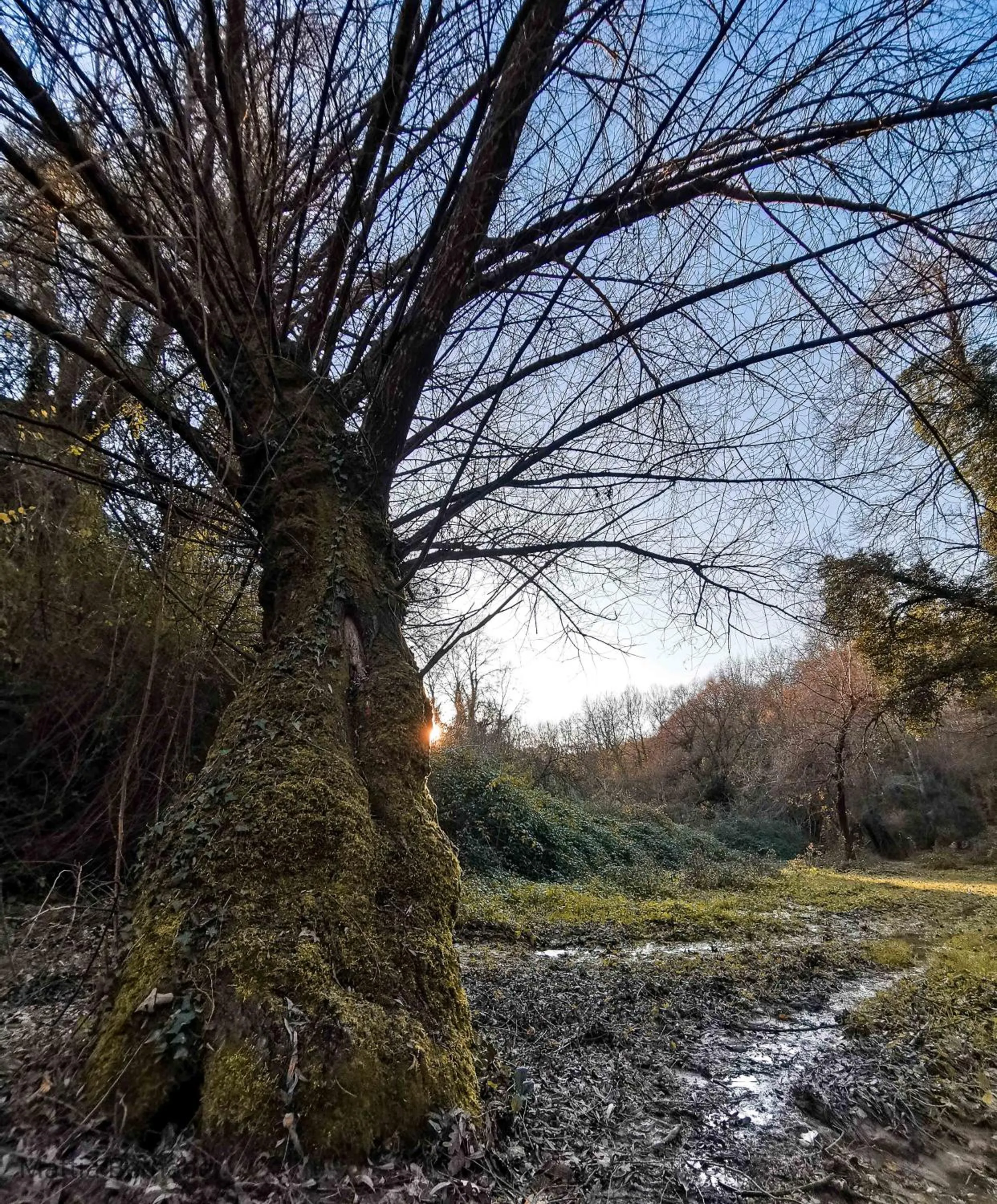Sunrise in Corte Buenavista
