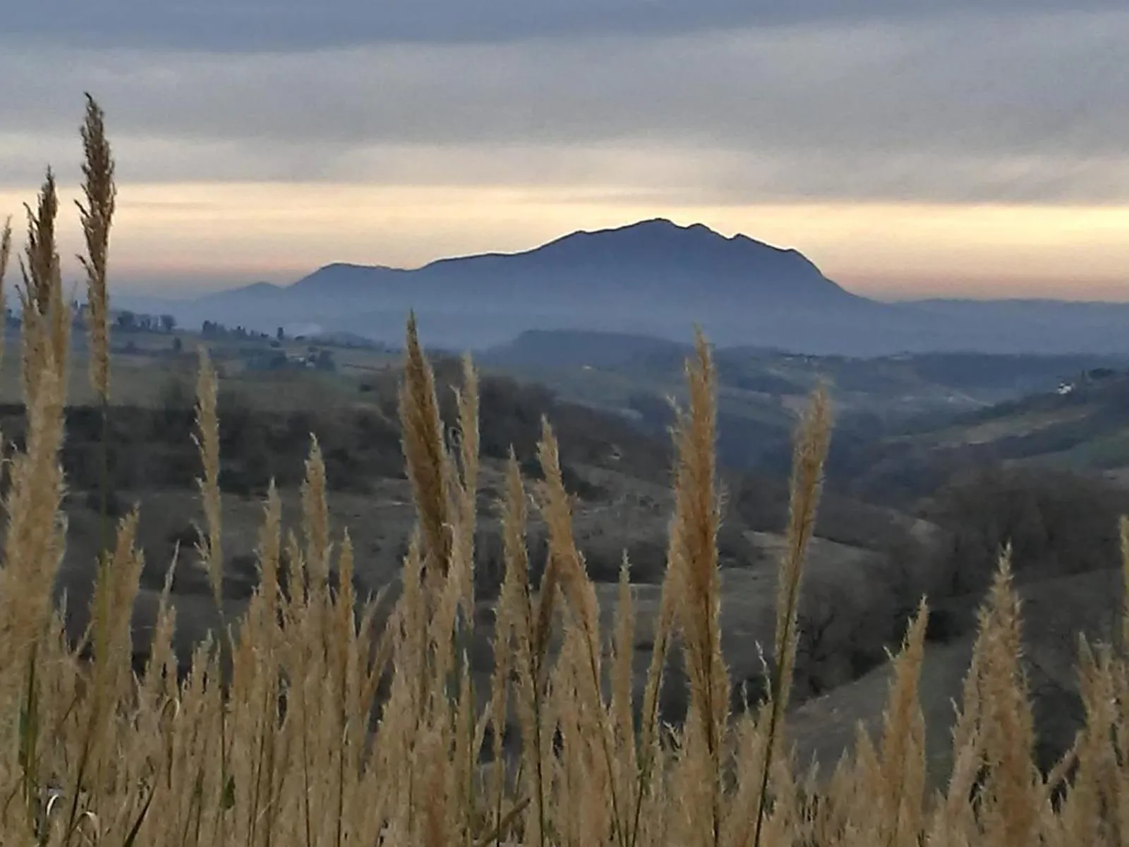 View (from property/room) in Corte Buenavista