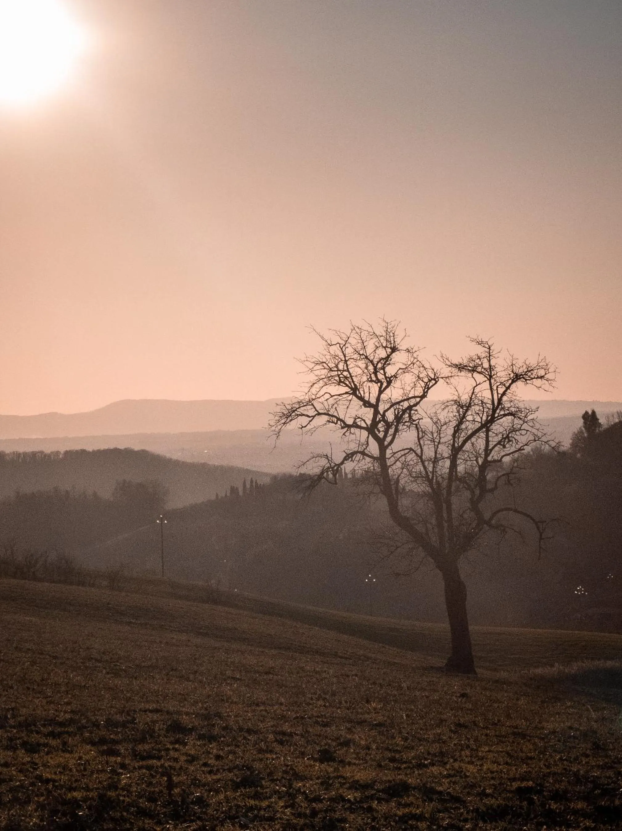 Sunrise in Corte Buenavista