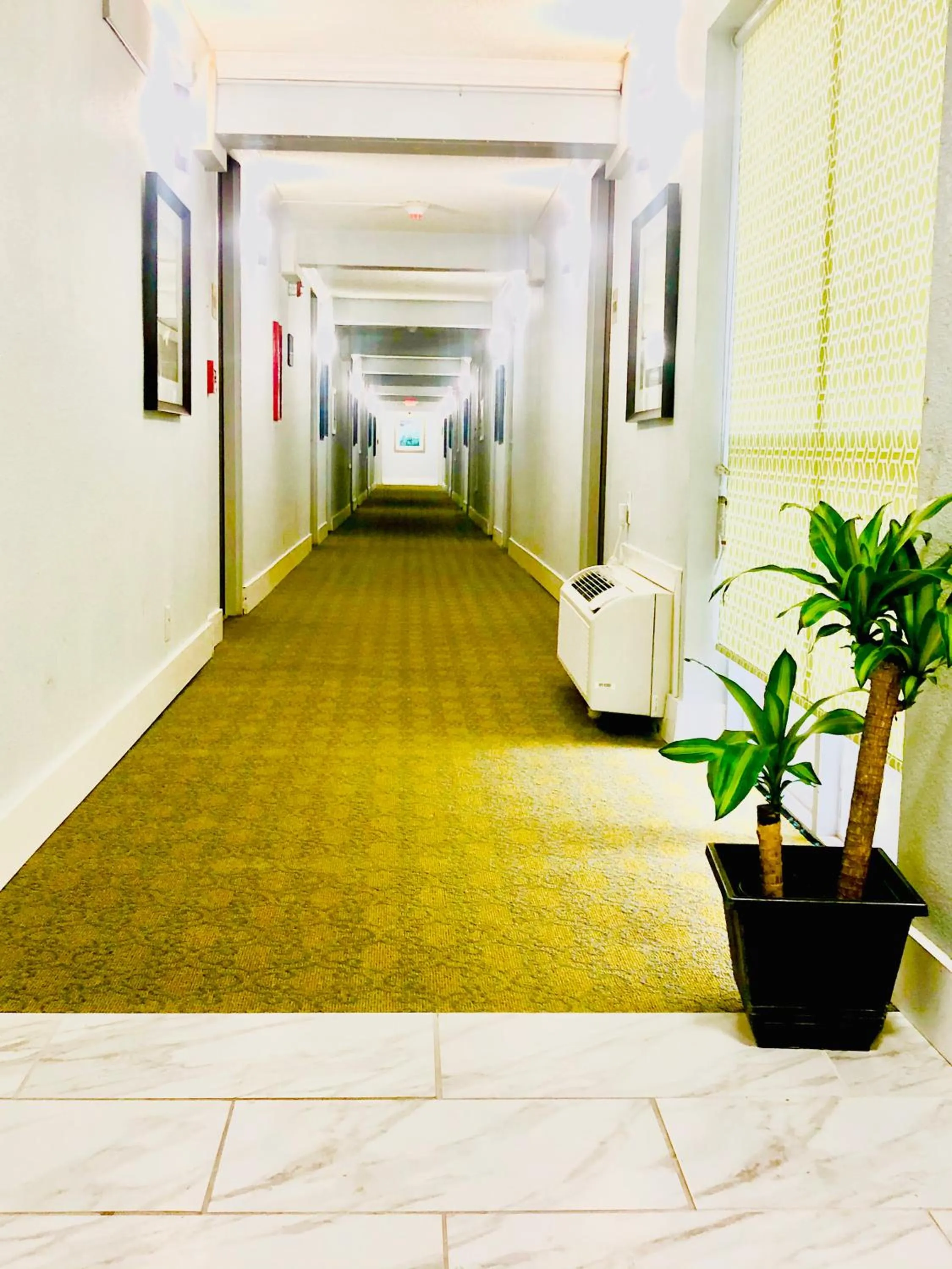 Decorative detail in Montgomery Inn & Suites