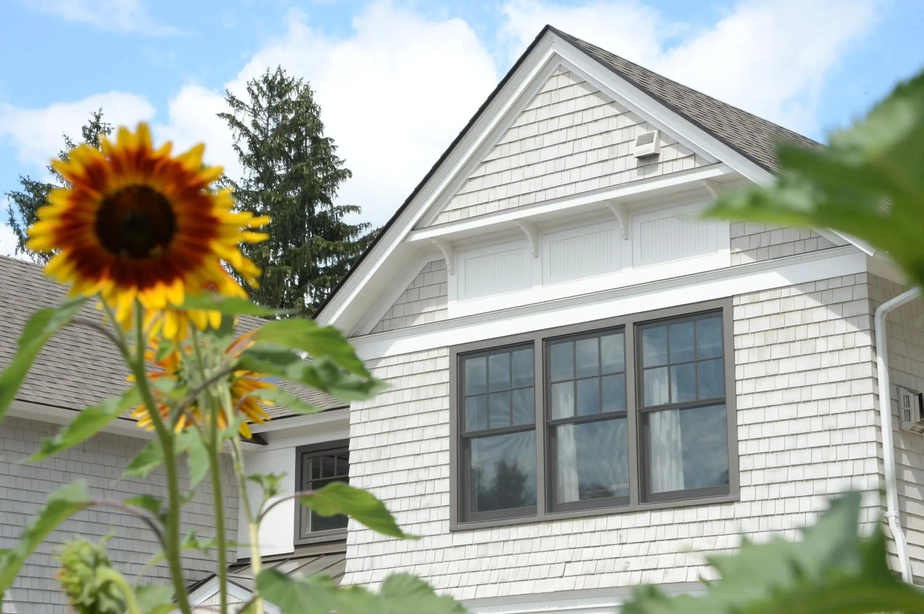 Property building in The Springwater Bed and Breakfast Property building in The Springwater Bed and Breakfast