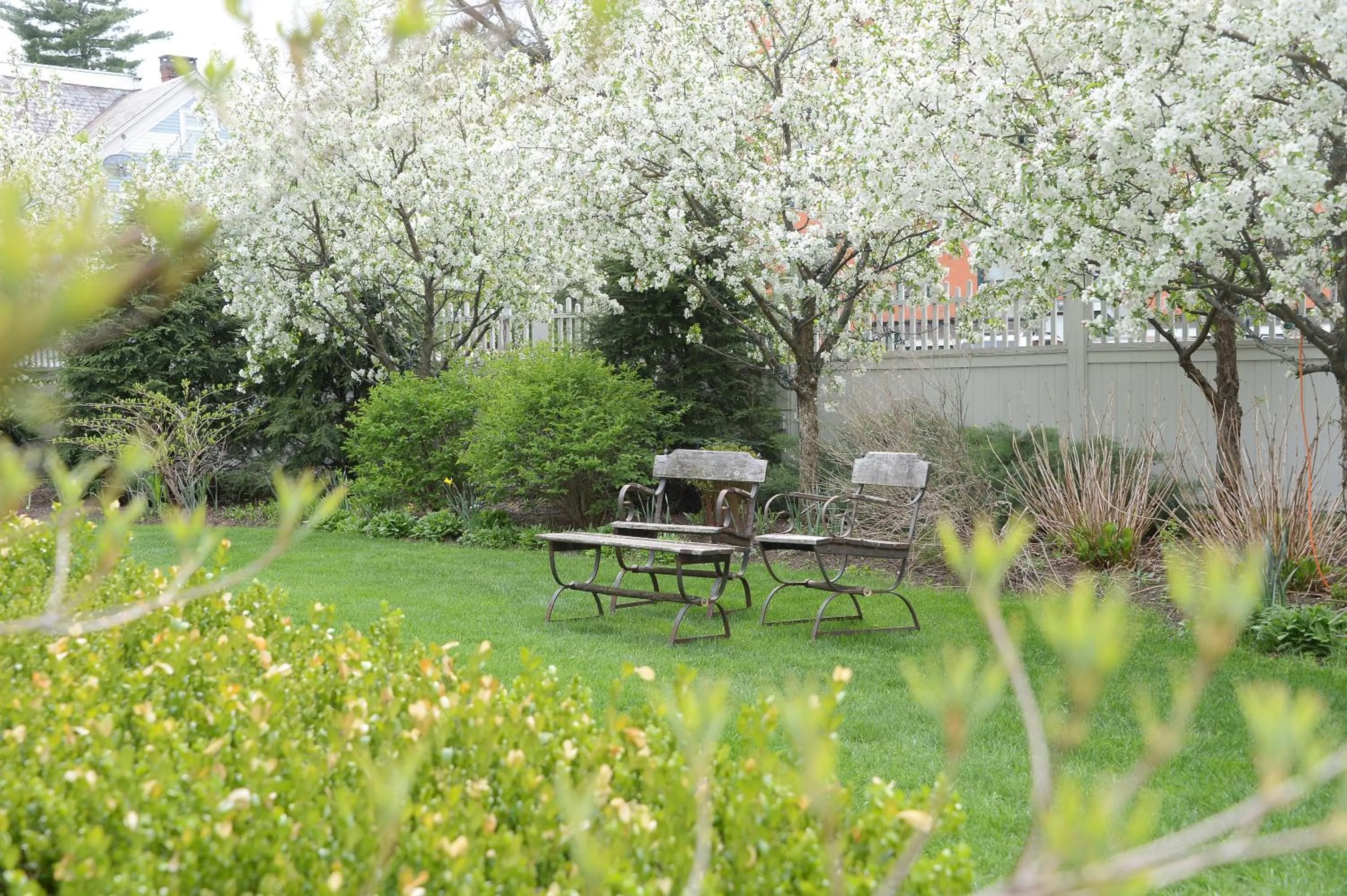 Patio in The Springwater Bed and Breakfast