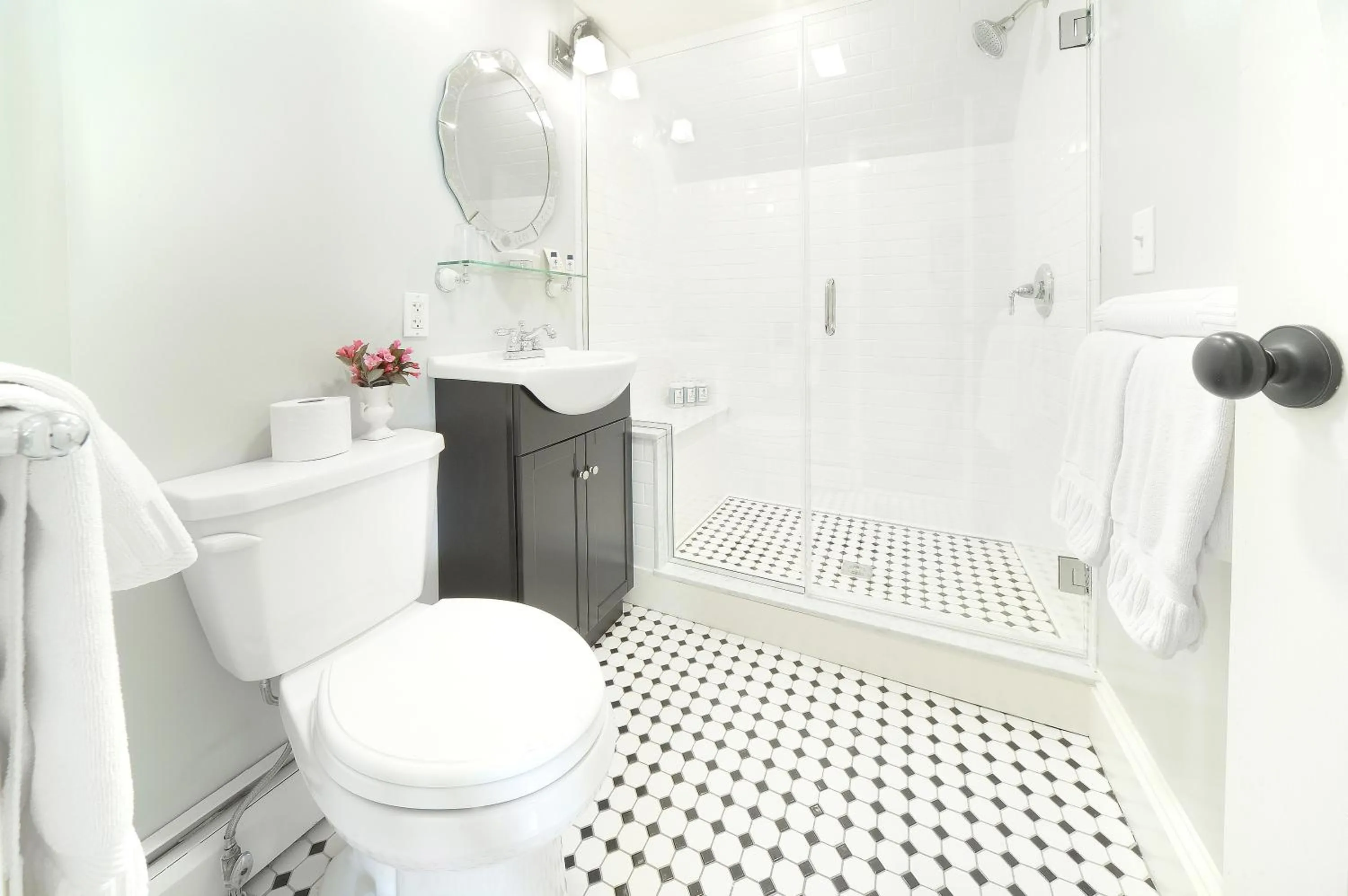 Shower in The Springwater Bed and Breakfast