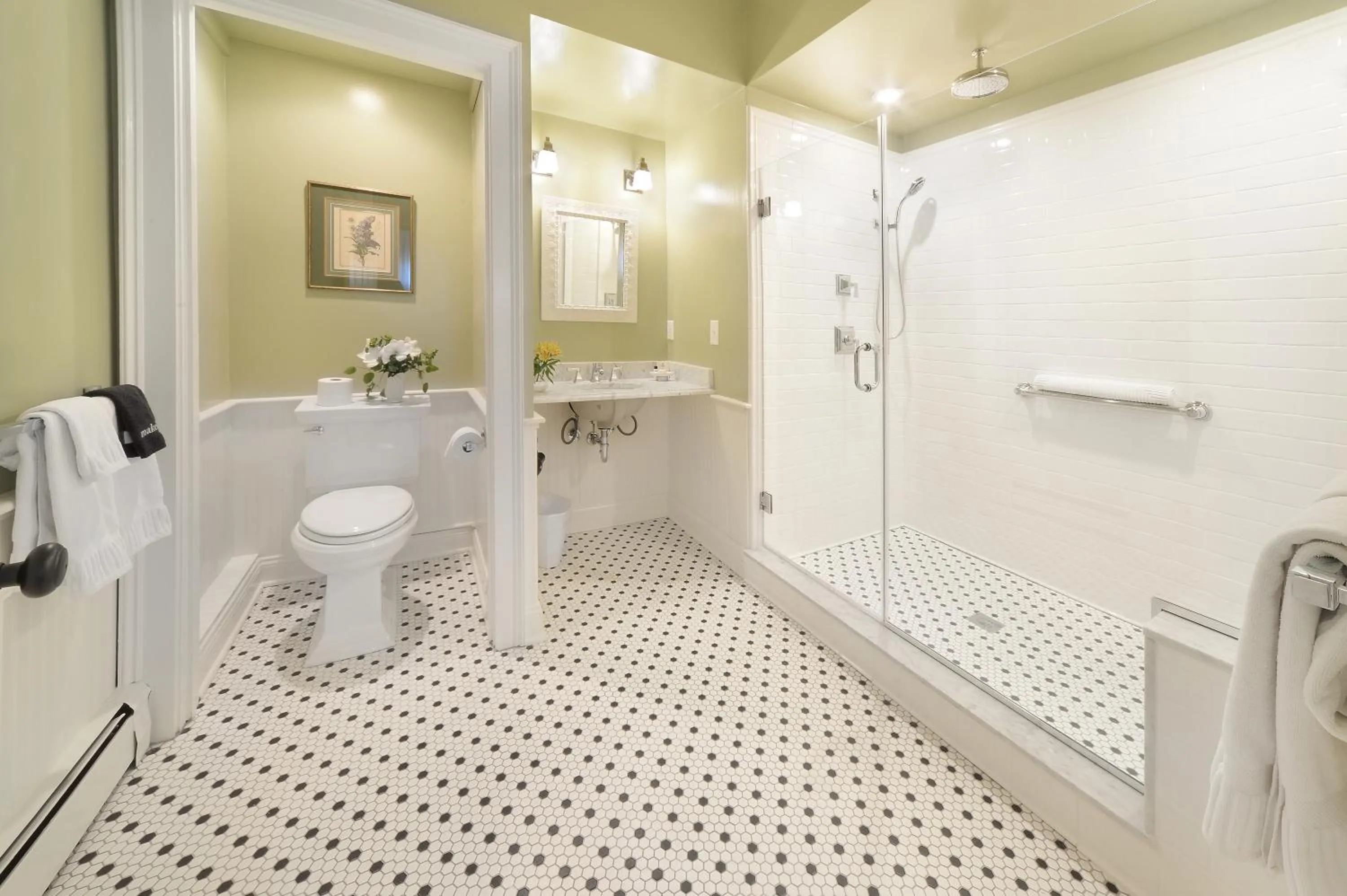 Shower in The Springwater Bed and Breakfast