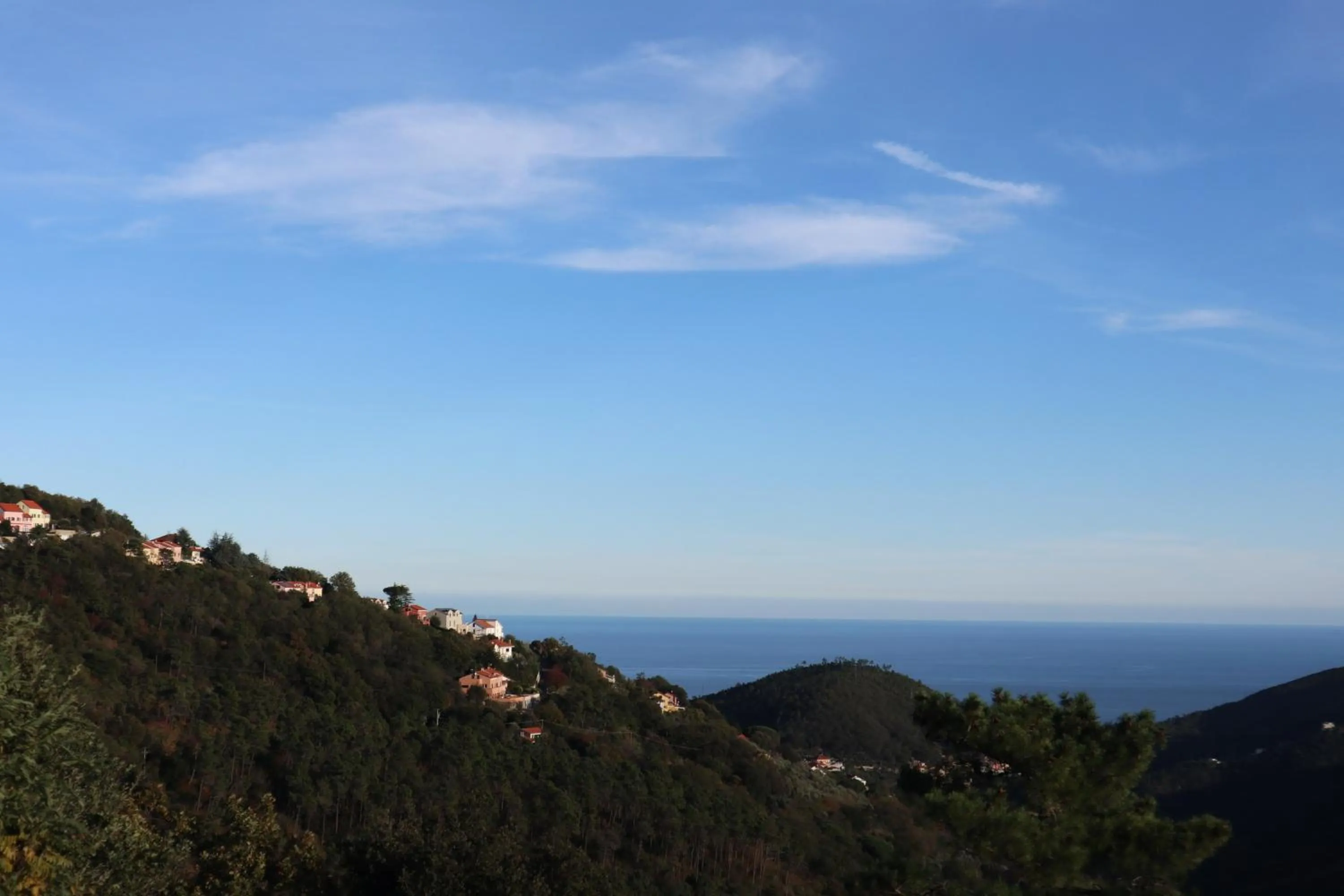 Natural landscape in Suite con vista