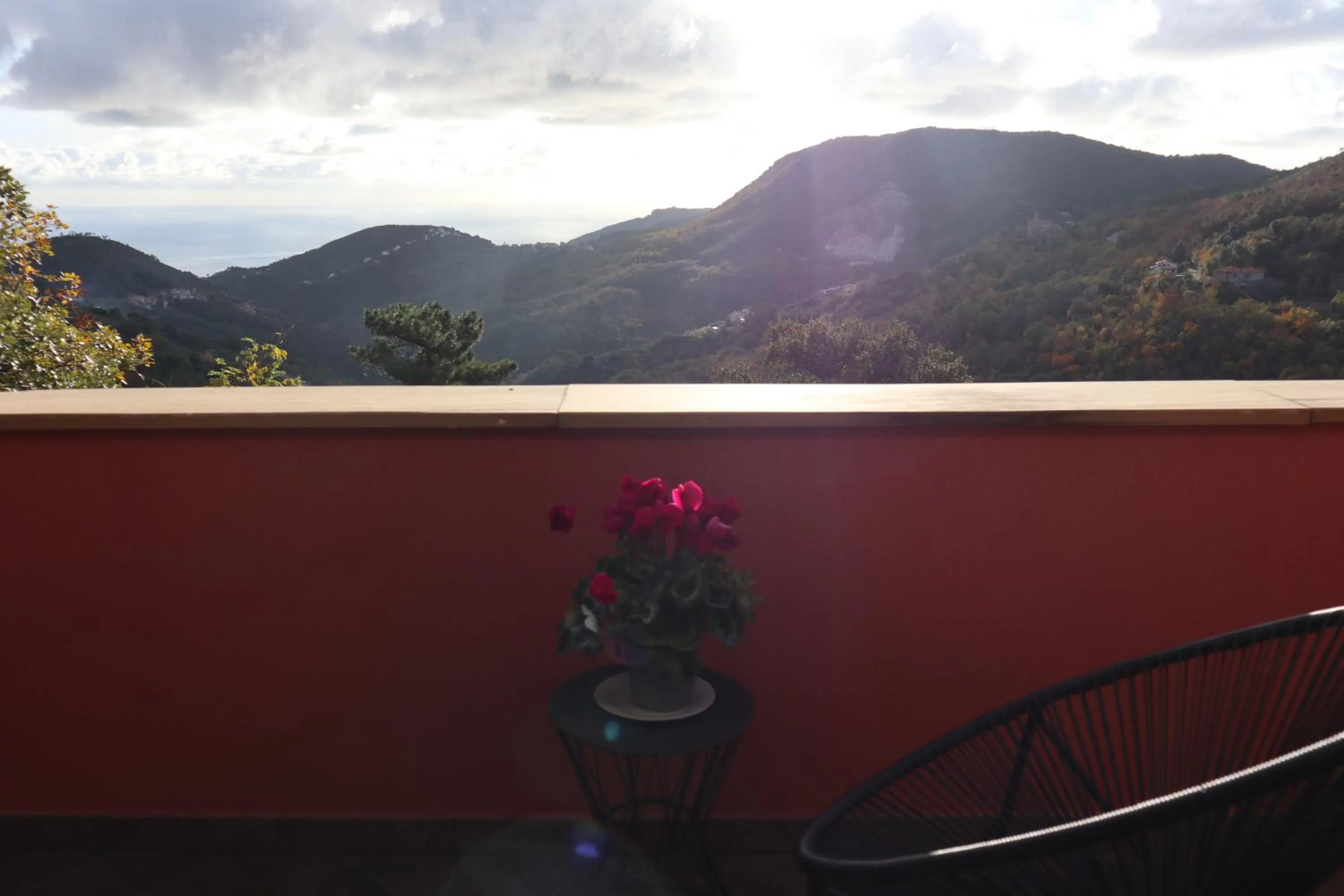 Natural landscape in Suite con vista