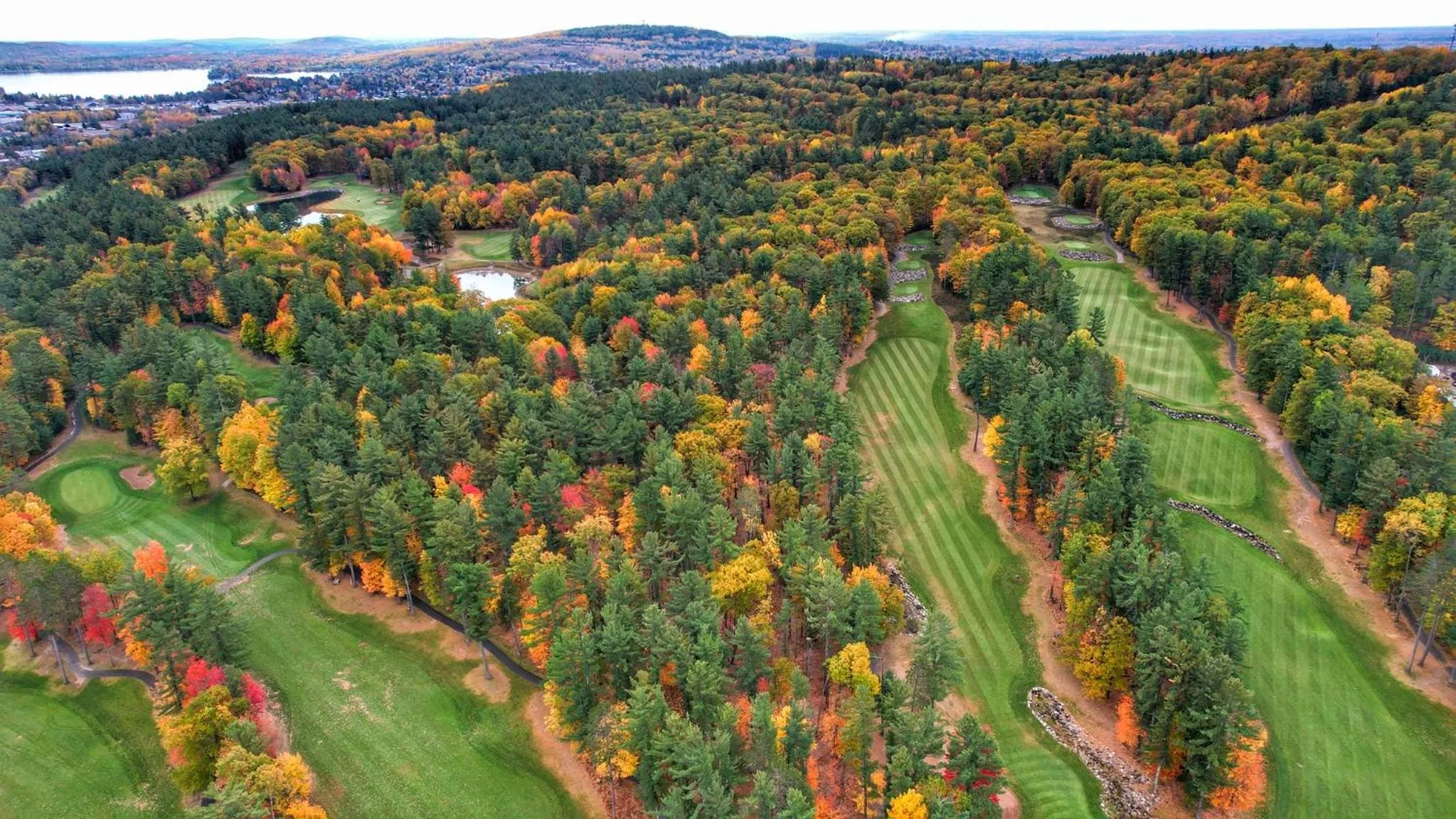 View (from property/room) in Pine Mountain Resort
