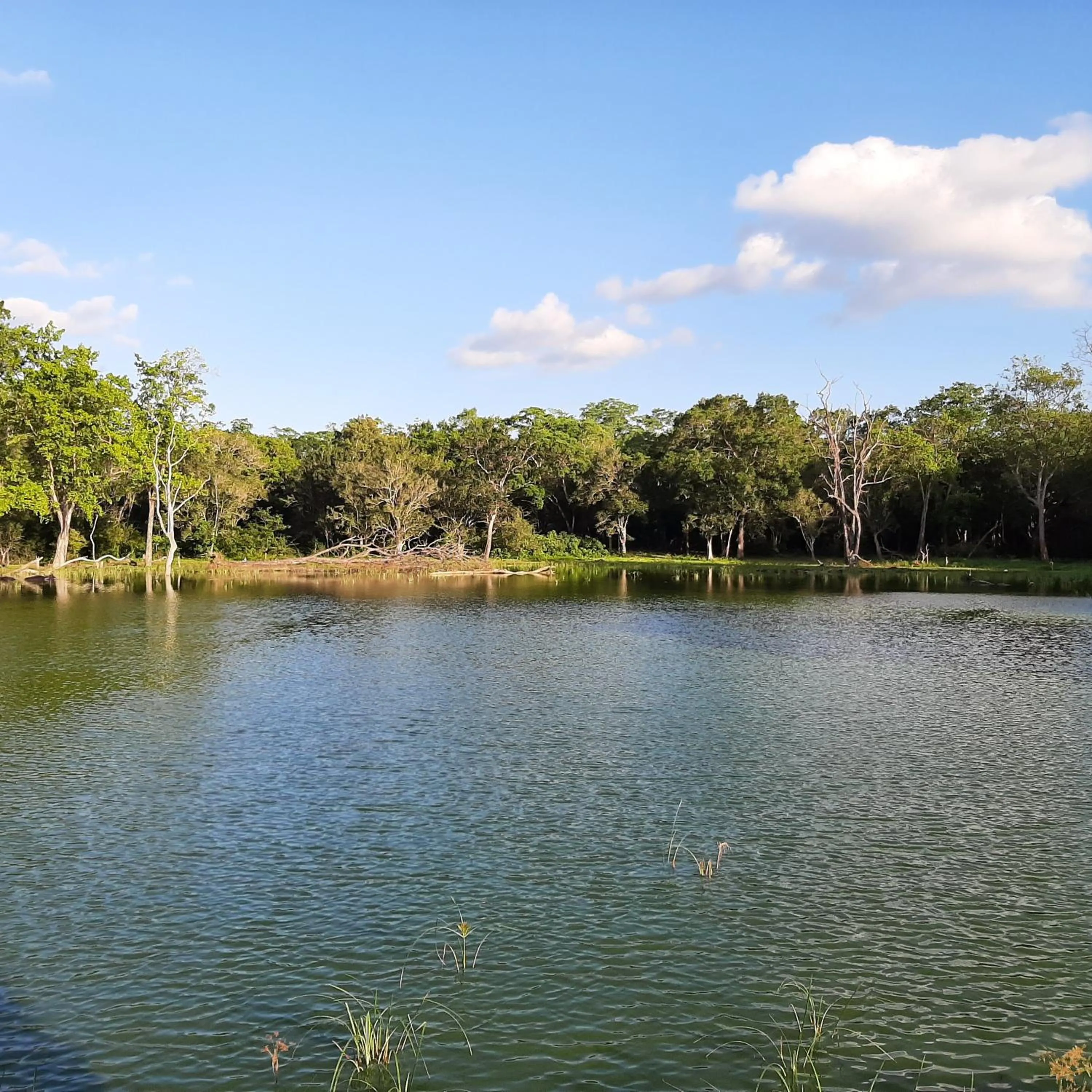 Natural landscape in Elephant Lodge