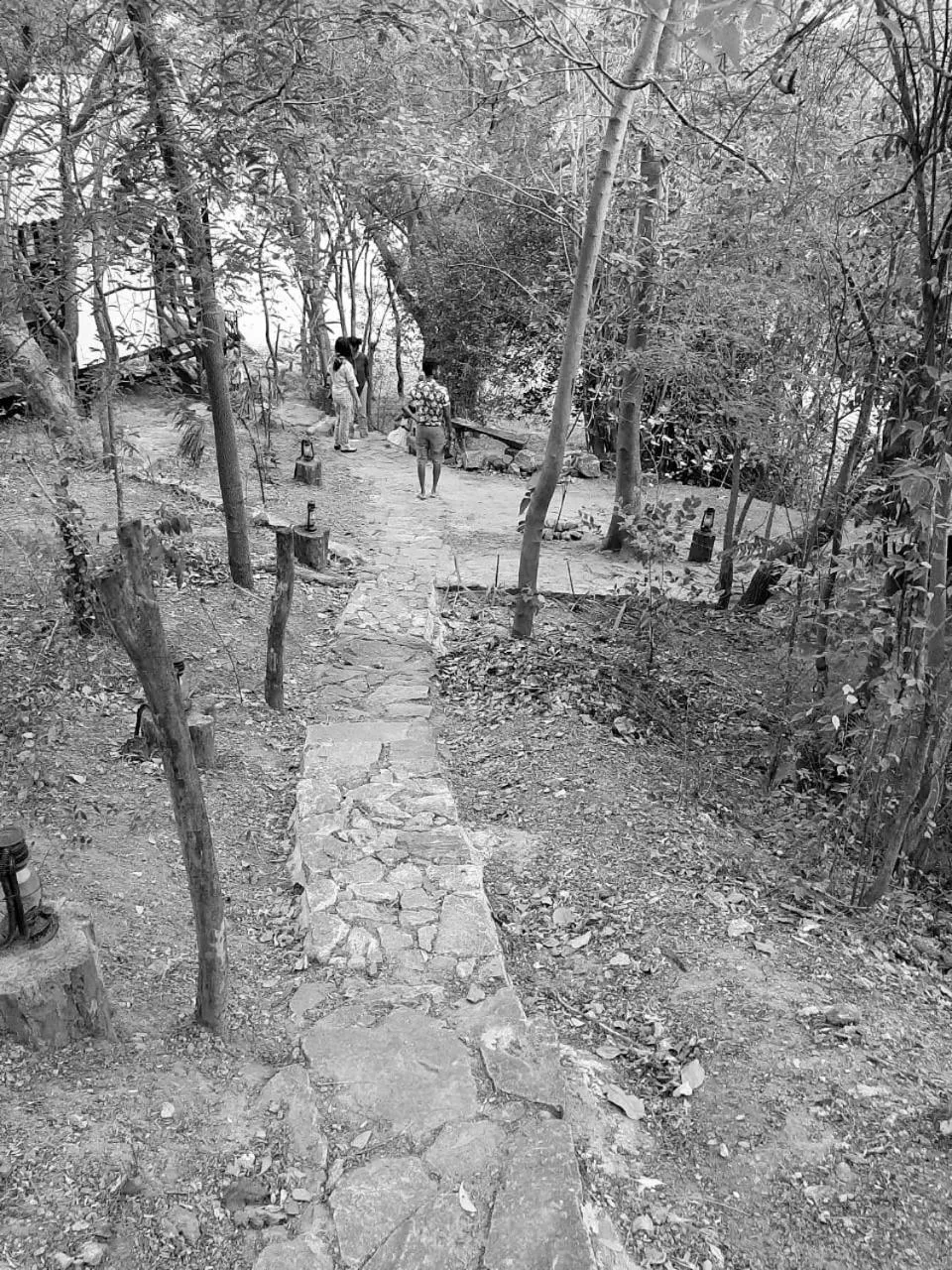 Garden in Elephant Lodge